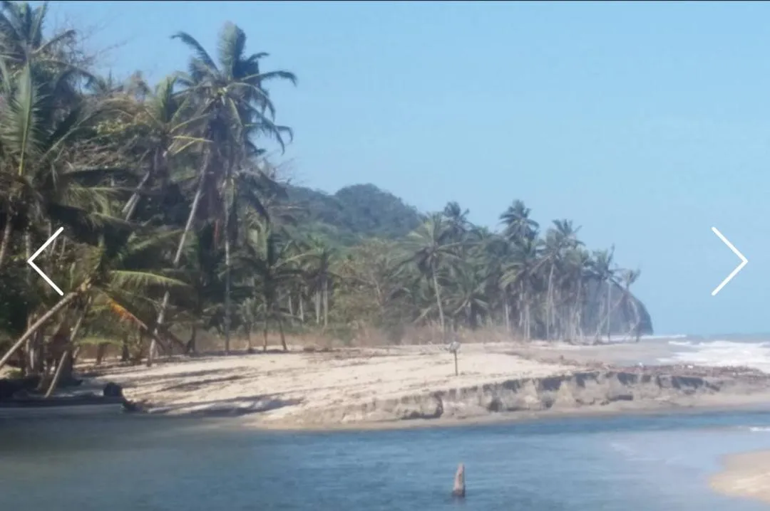 Indigo Palomino Beautiful House