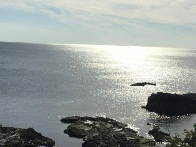 Natural landscape in Super Hotel Izumo Ekimae