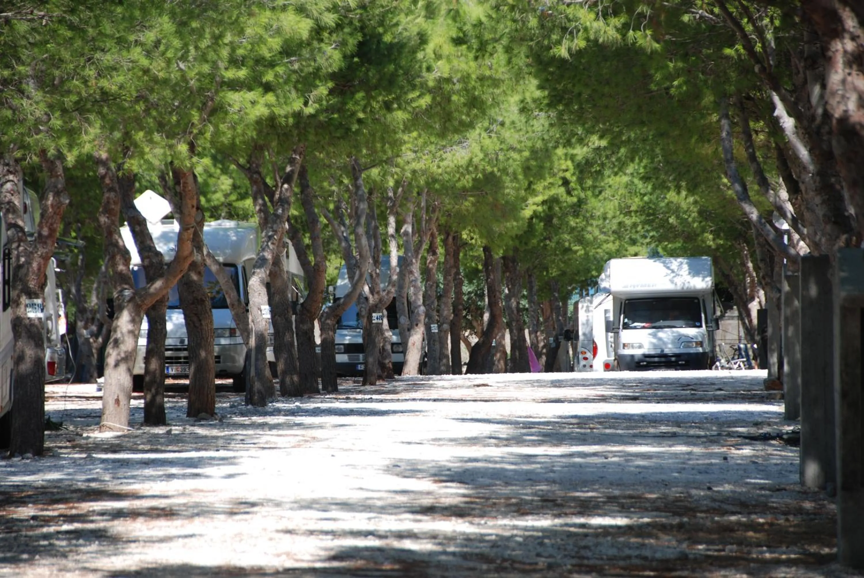Camping Village La Pineta