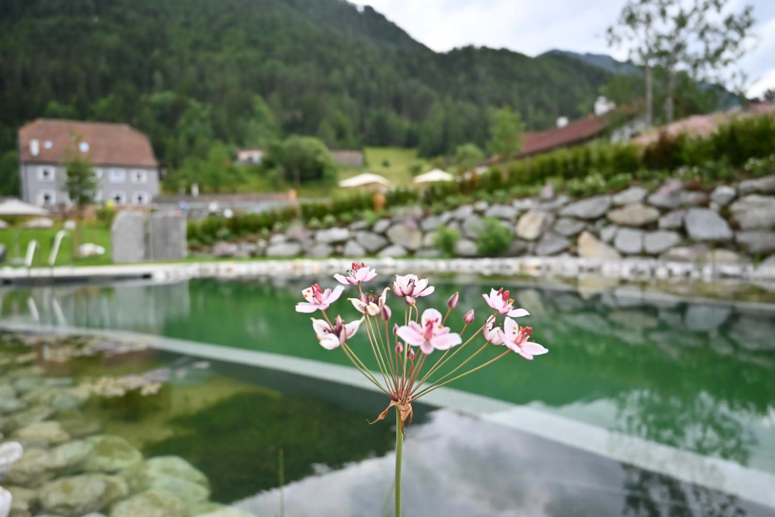 Garden in tilia living - b&b mit dem Komfort eines kleinen, feinen Hotels