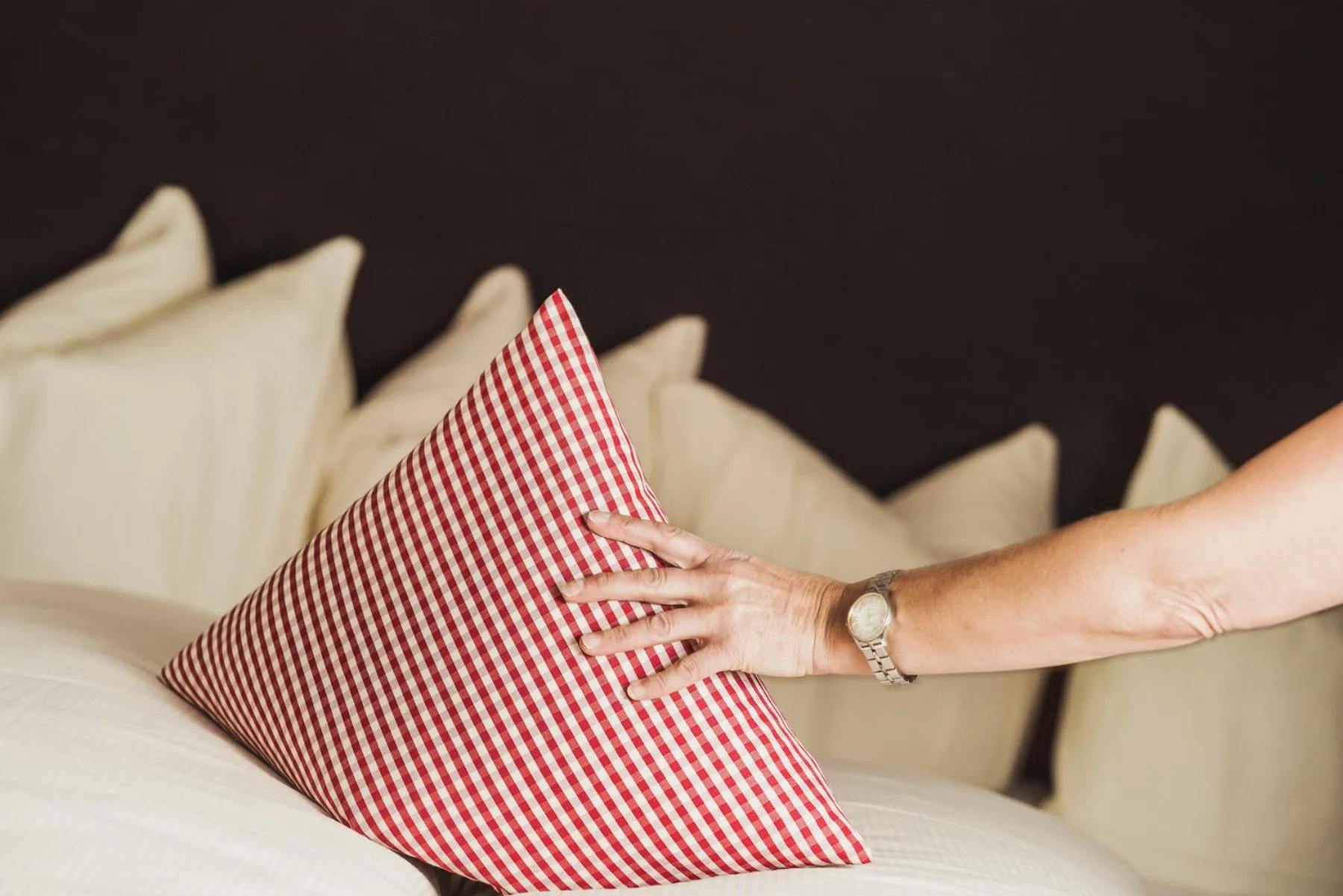 Area and facilities in Hotel Lenz