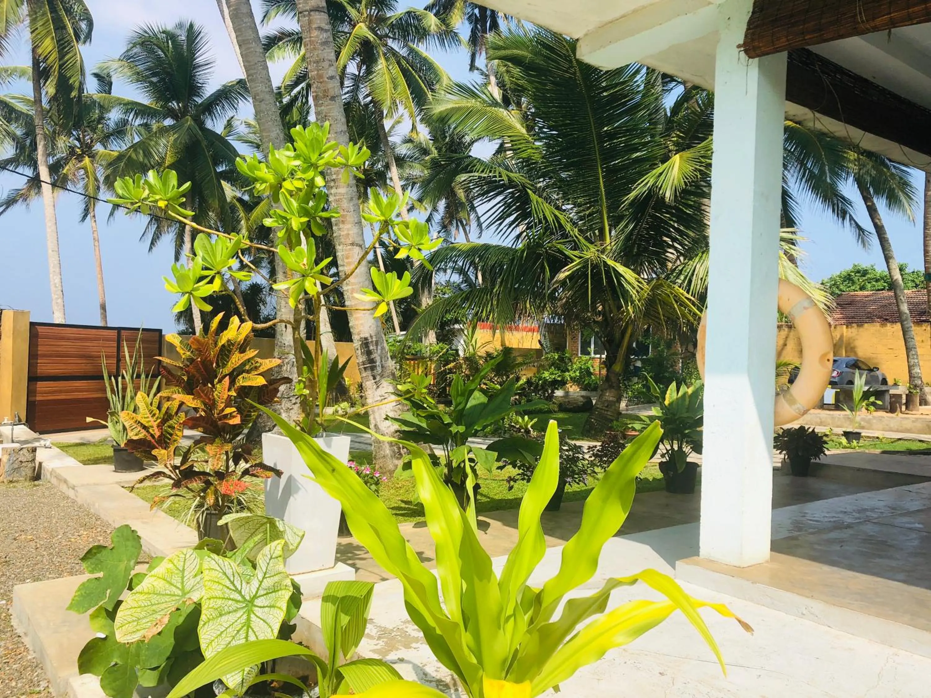 Garden view in Ocean Caves, Balapitiya