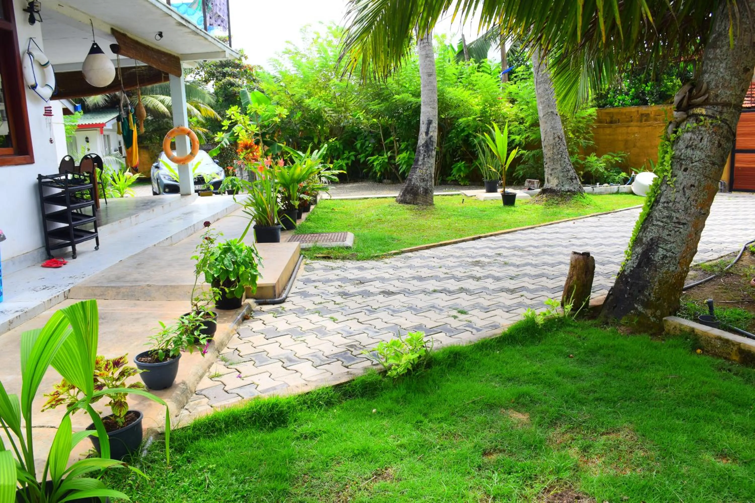Garden view in Ocean Caves, Balapitiya