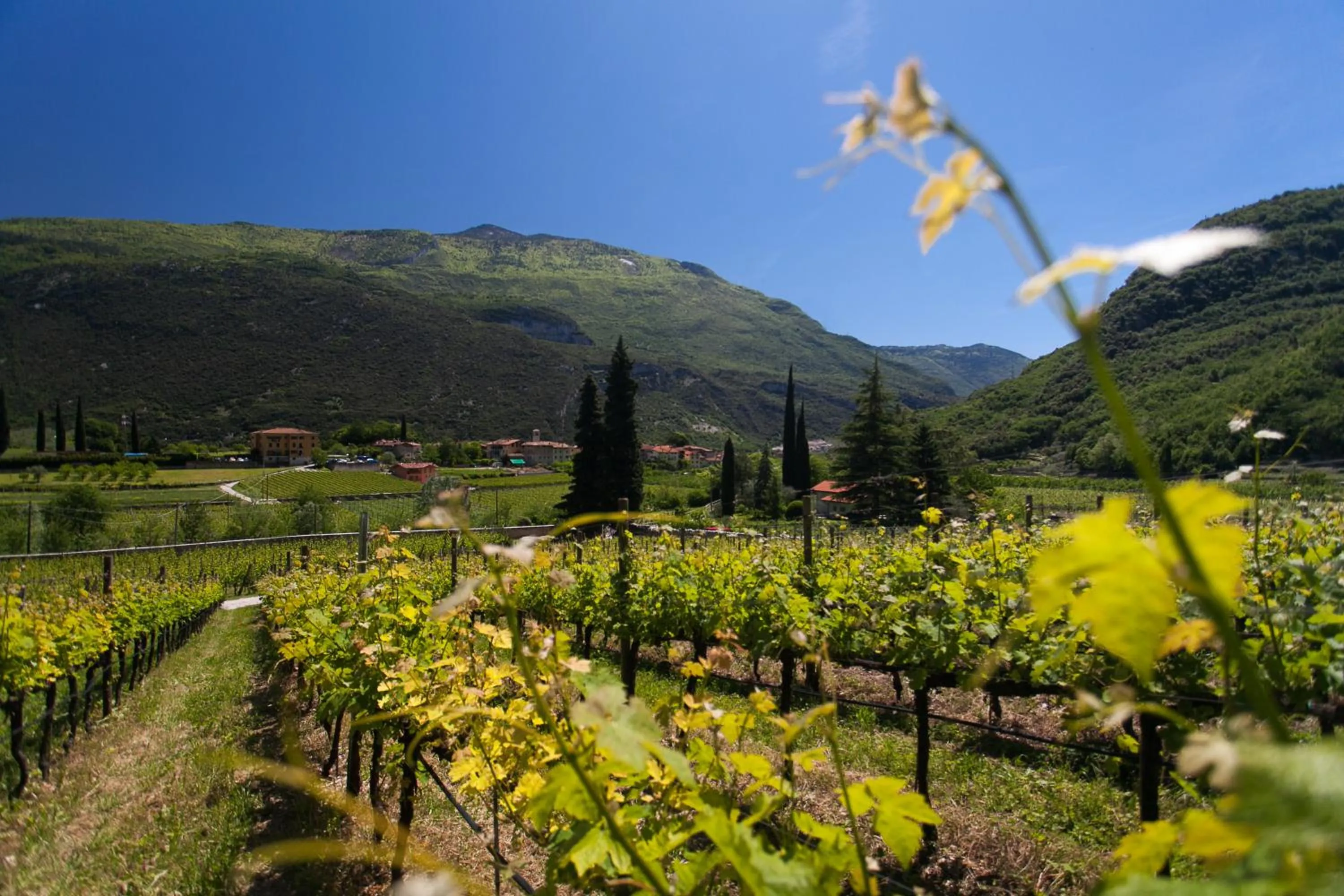 Agriturismo Maso Lizzone