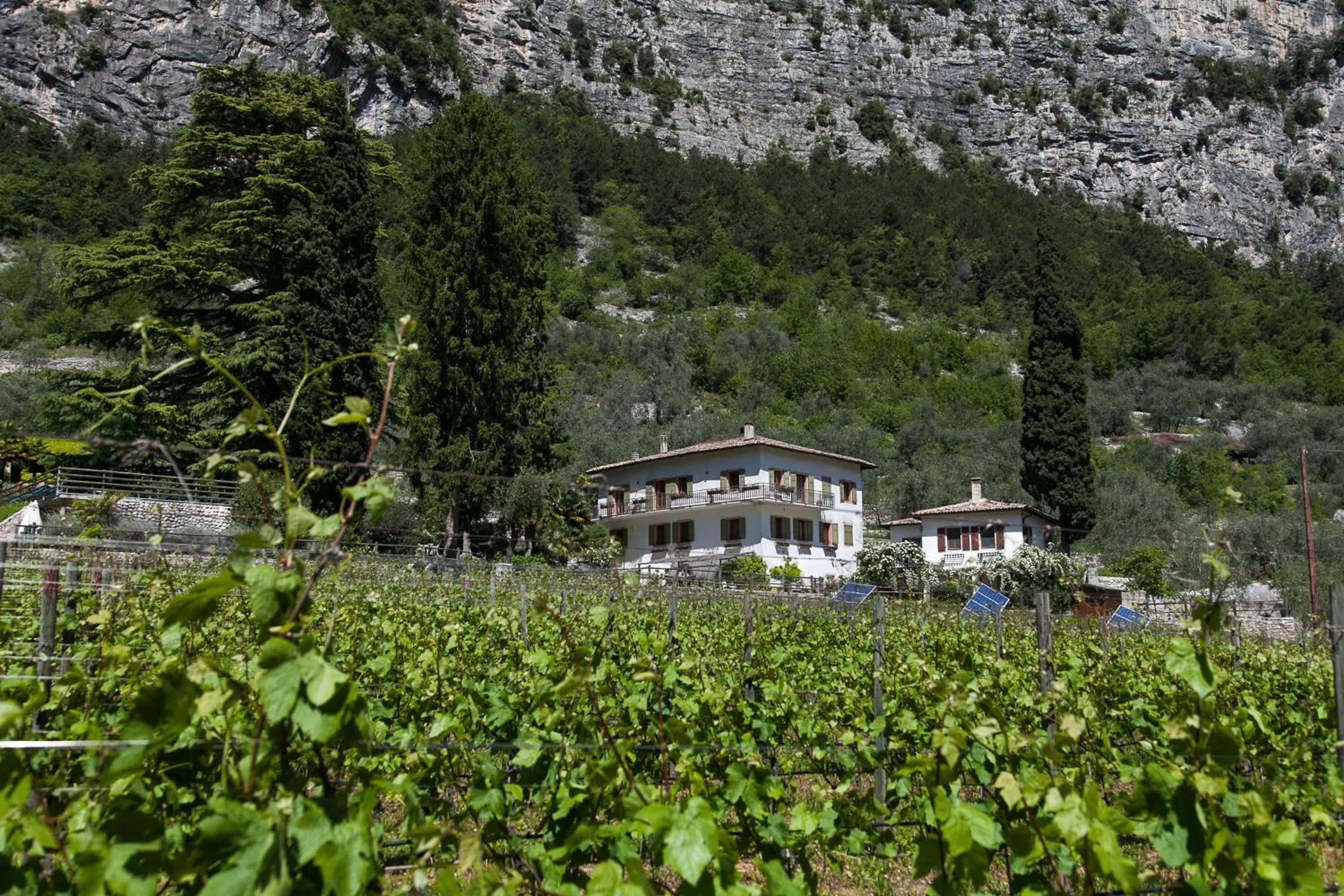 Agriturismo Maso Lizzone