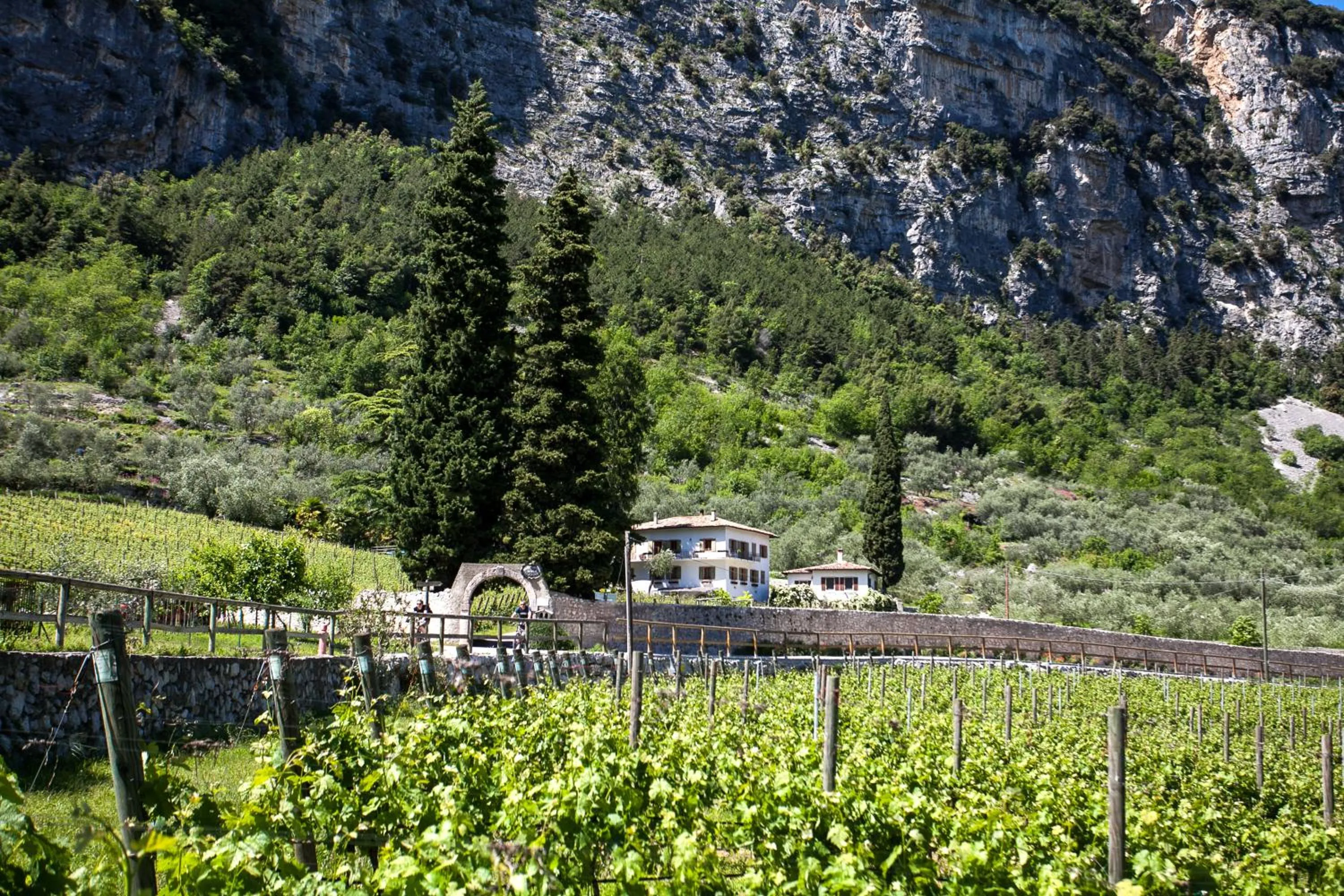 Agriturismo Maso Lizzone