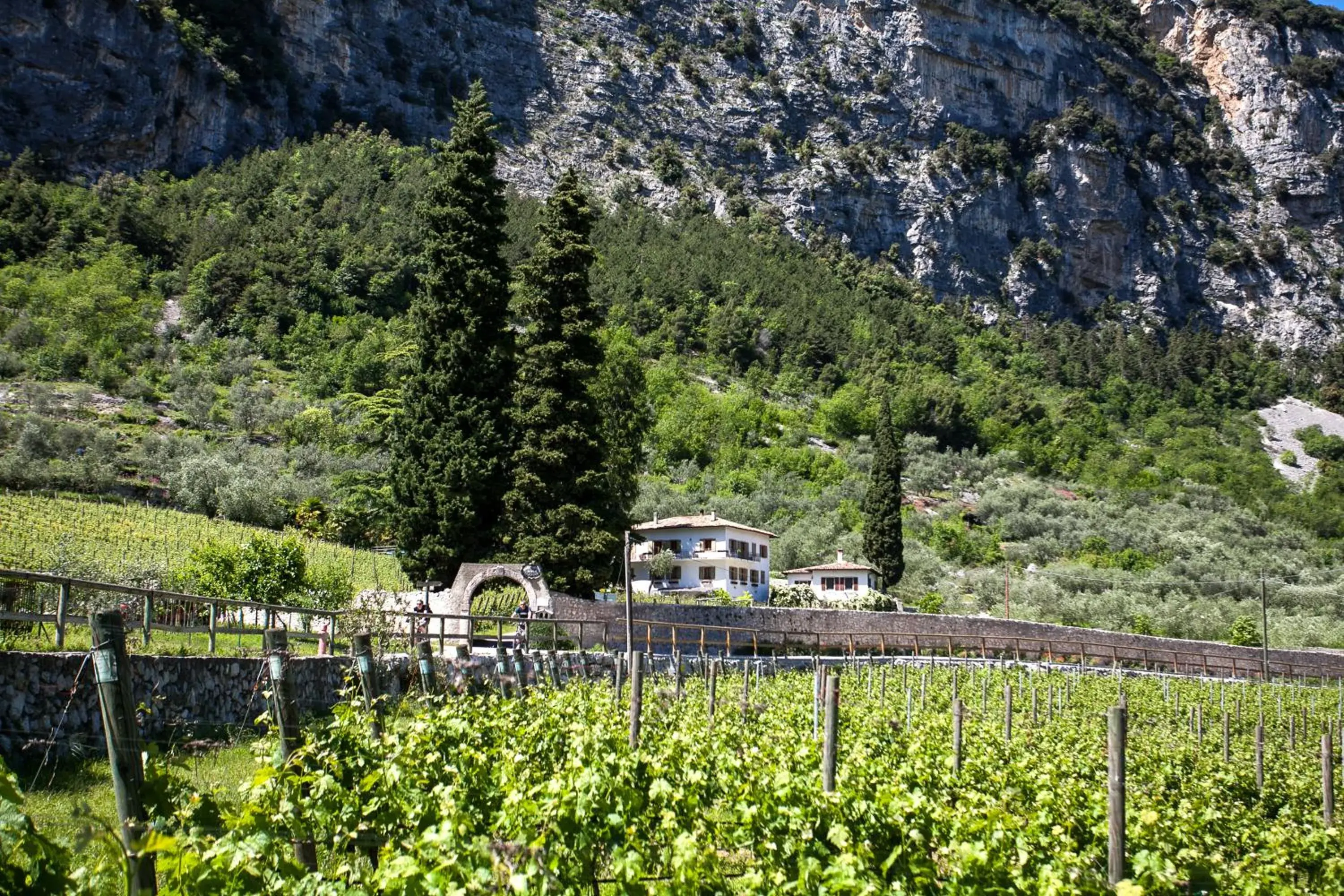Agriturismo Maso Lizzone Agriturismo Maso Lizzone