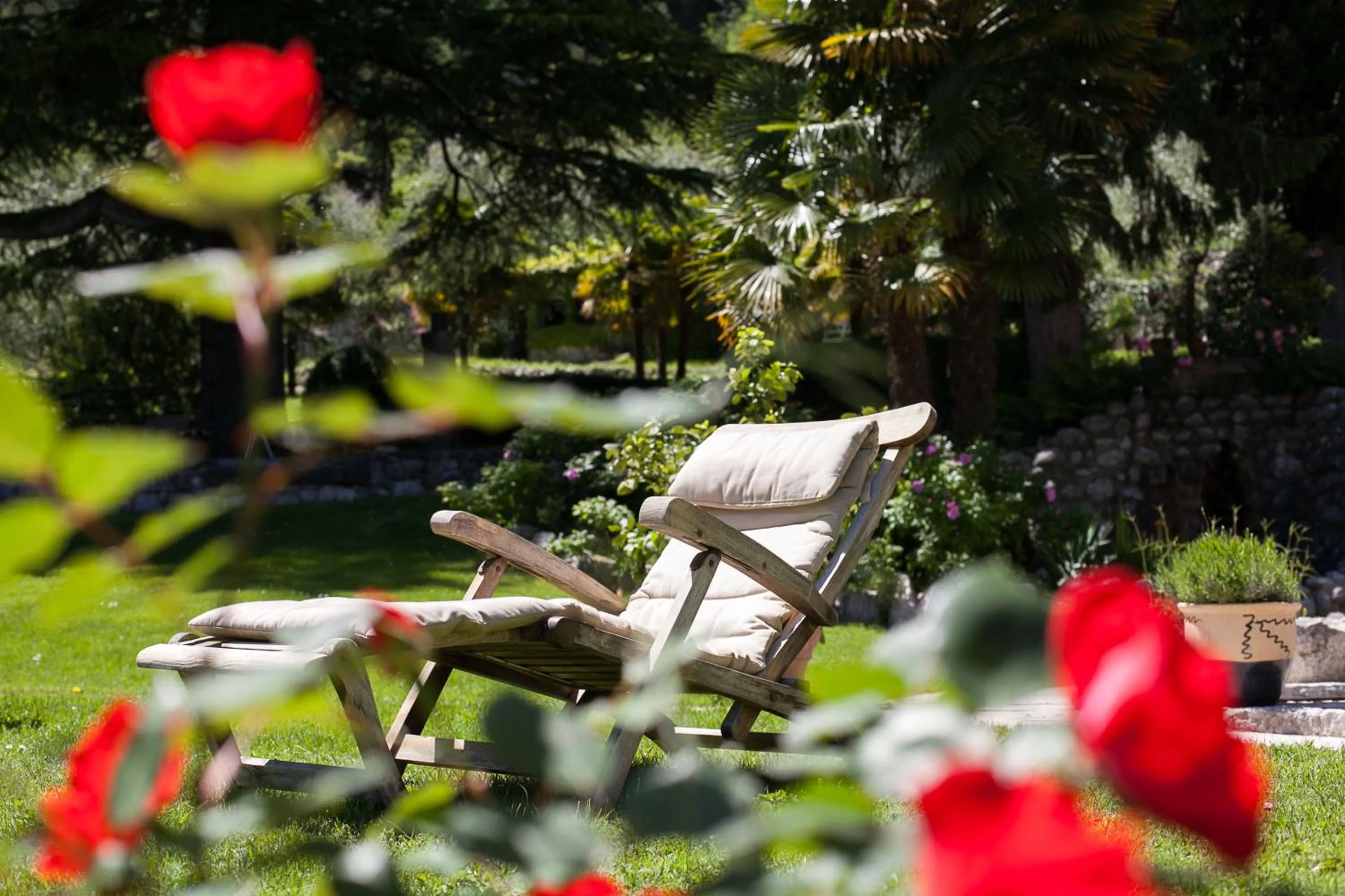 Agriturismo Maso Lizzone