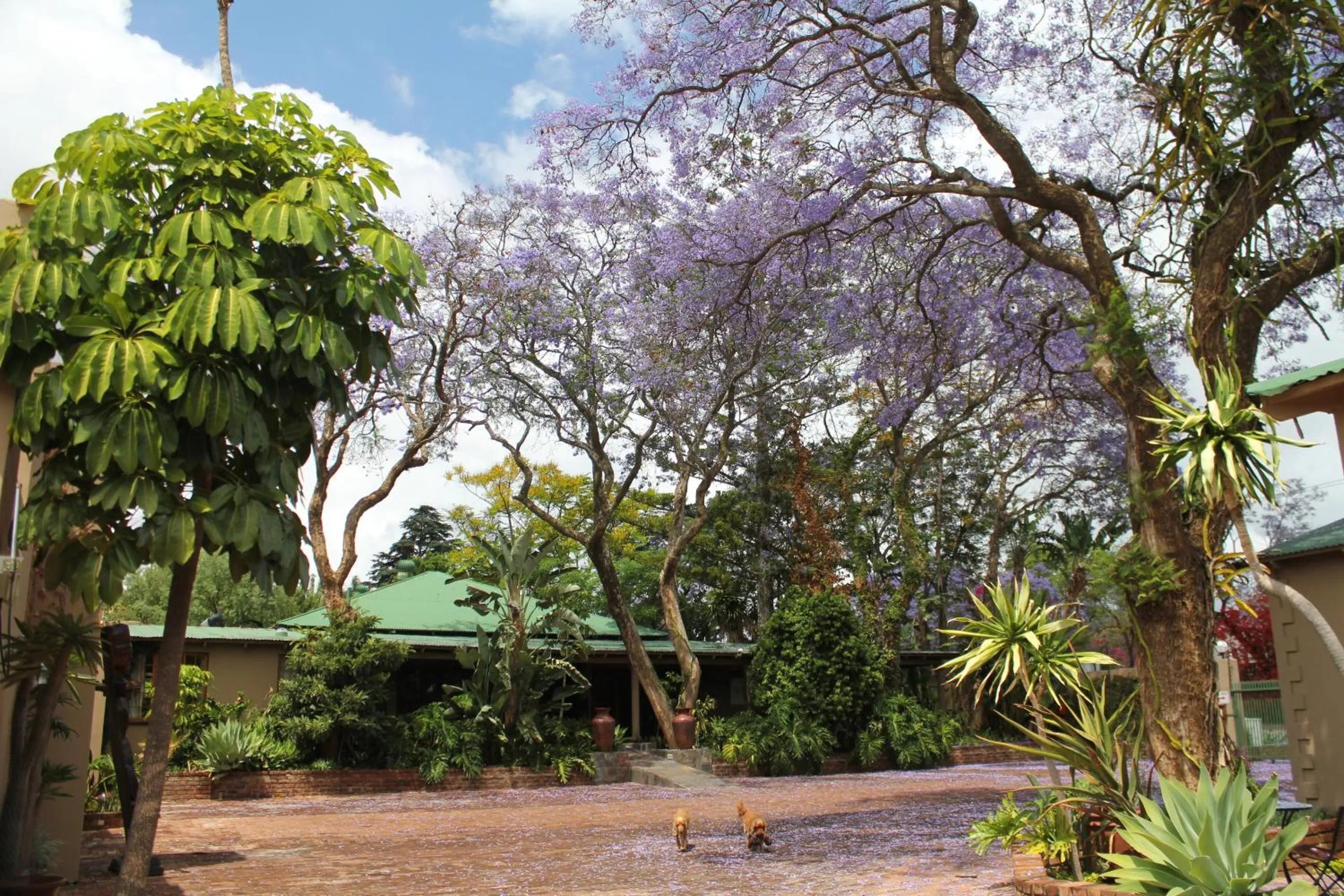 Facade/entrance in African Roots Guest House