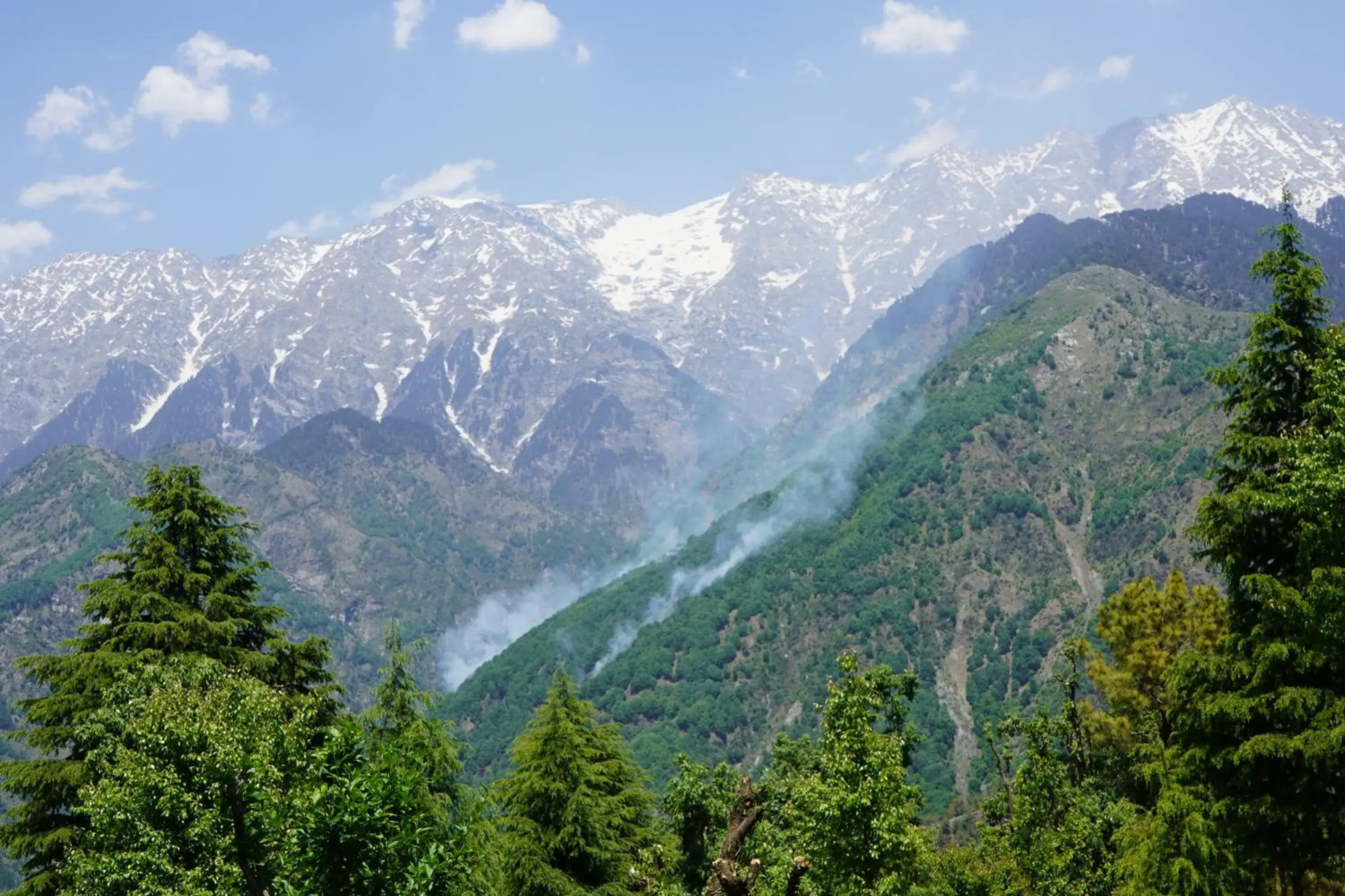 View (from property/room) in WelcomHeritage Grace Hotel View (from property/room) in WelcomHeritage Grace Hotel