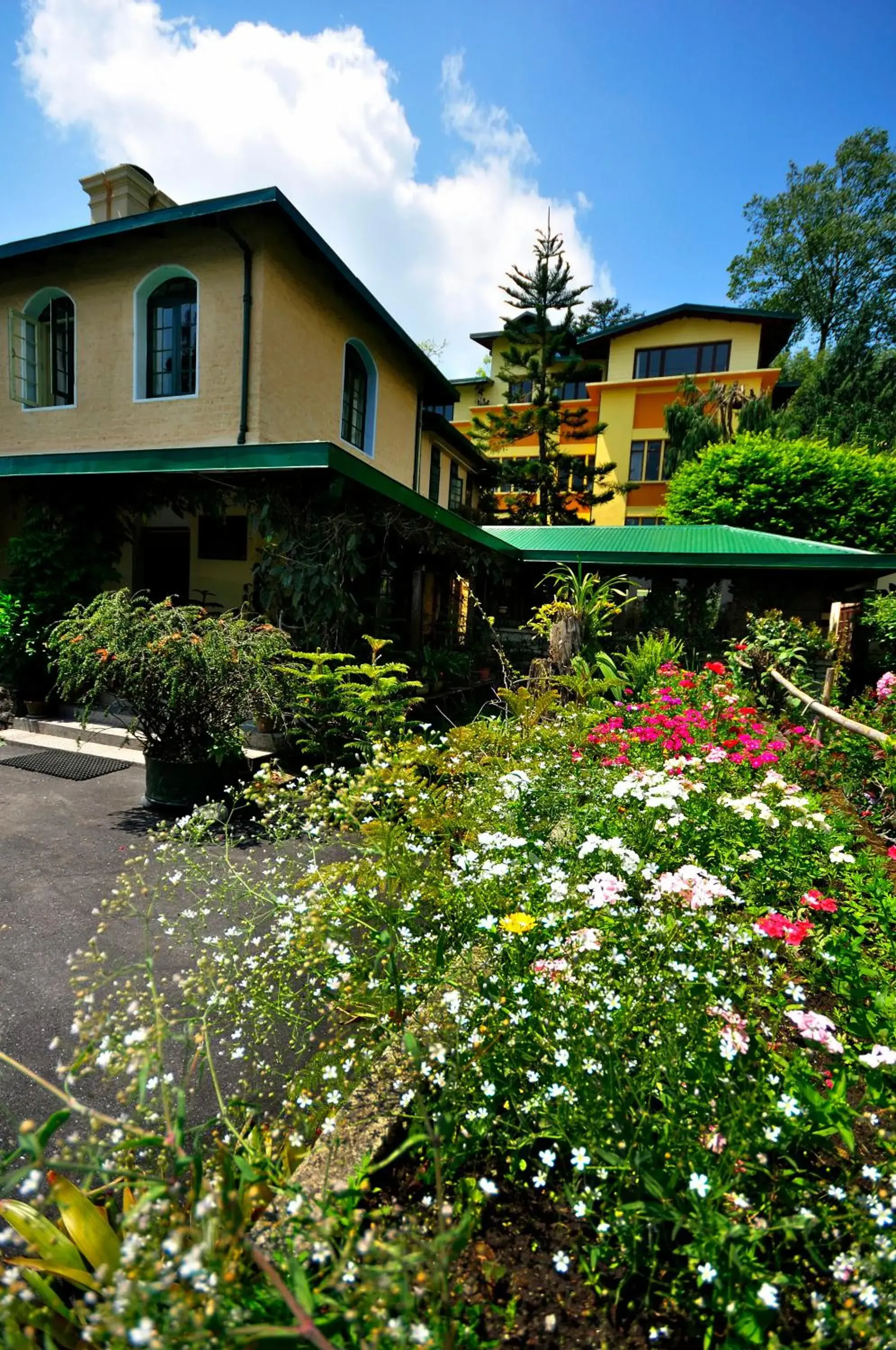 Property building in Sterling Park Kalimpong Property building in Sterling Park Kalimpong