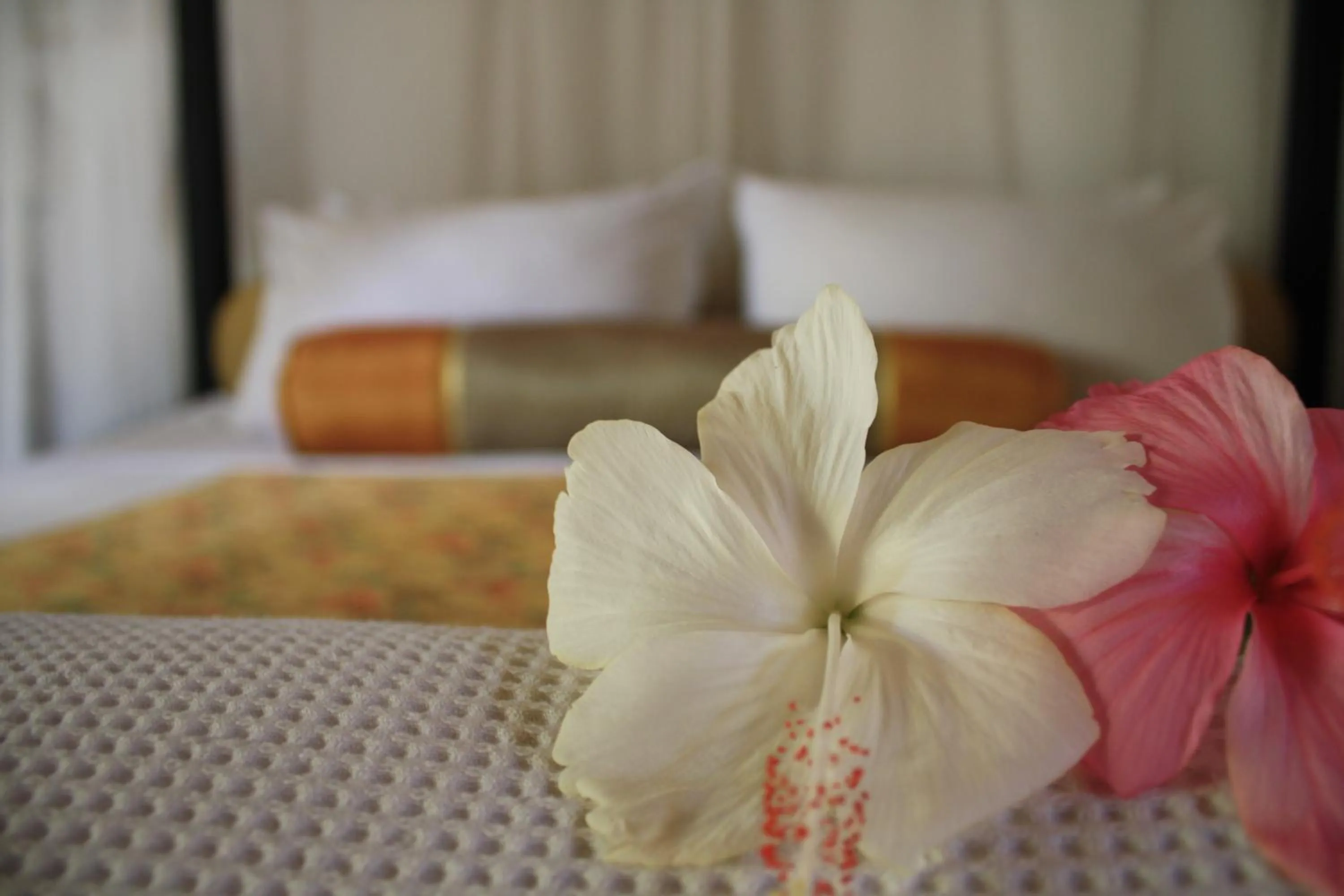 Bed in Sea Pines & Liberg