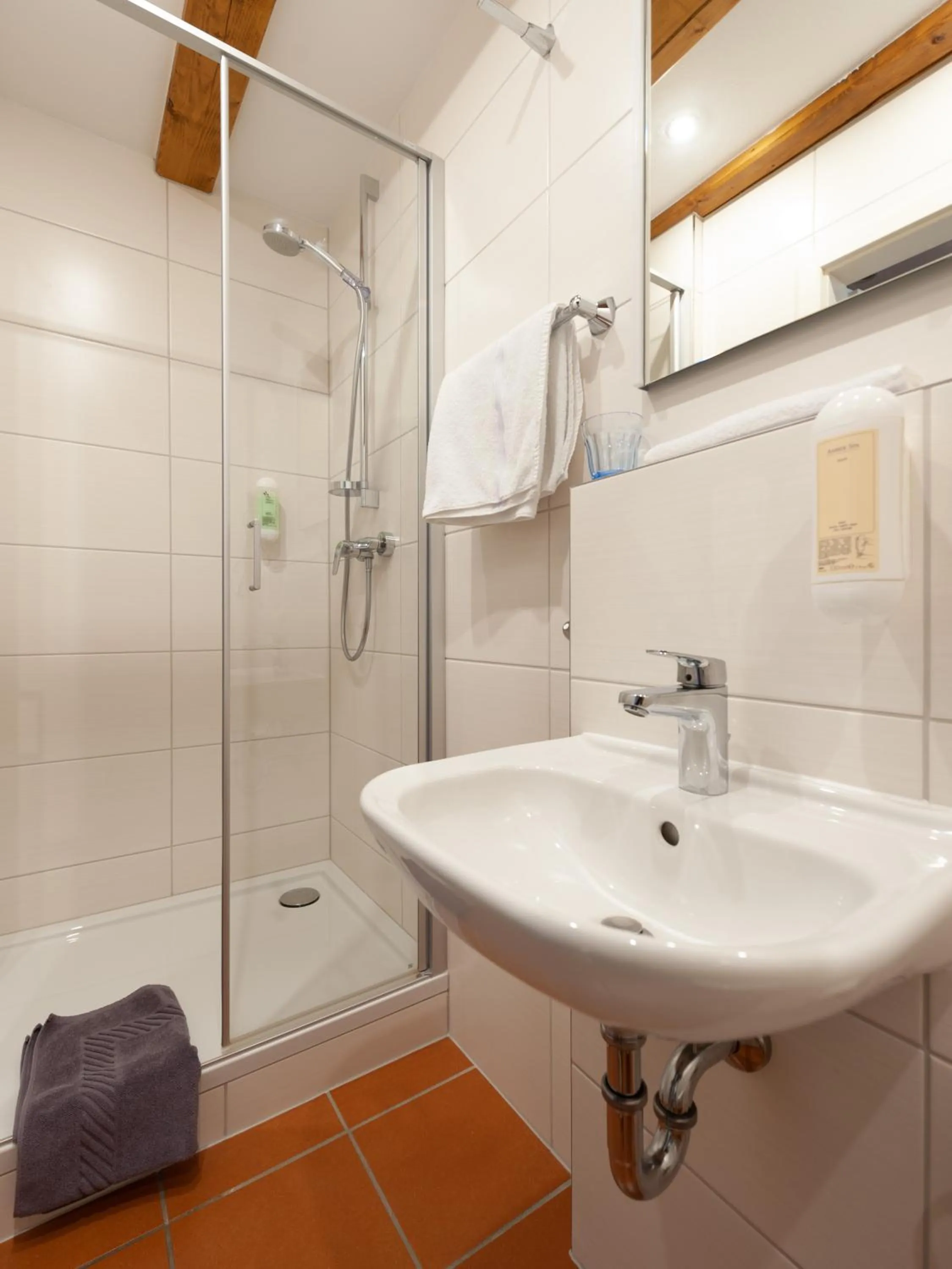 Shower in Gästezimmer im Weingut Wolf