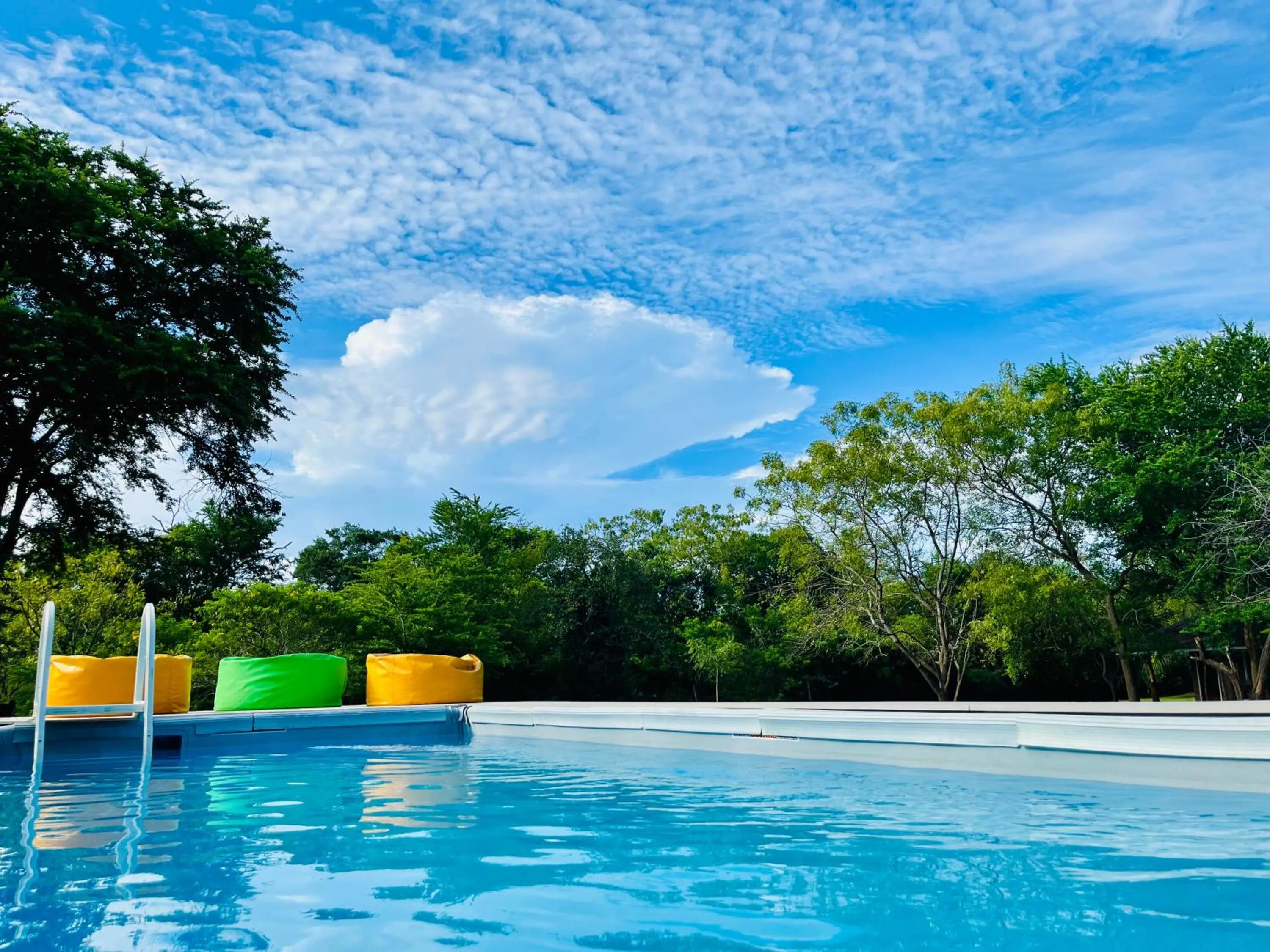 Swimming pool in Funky Leopard Safari Lodge Bordering Yala National Park