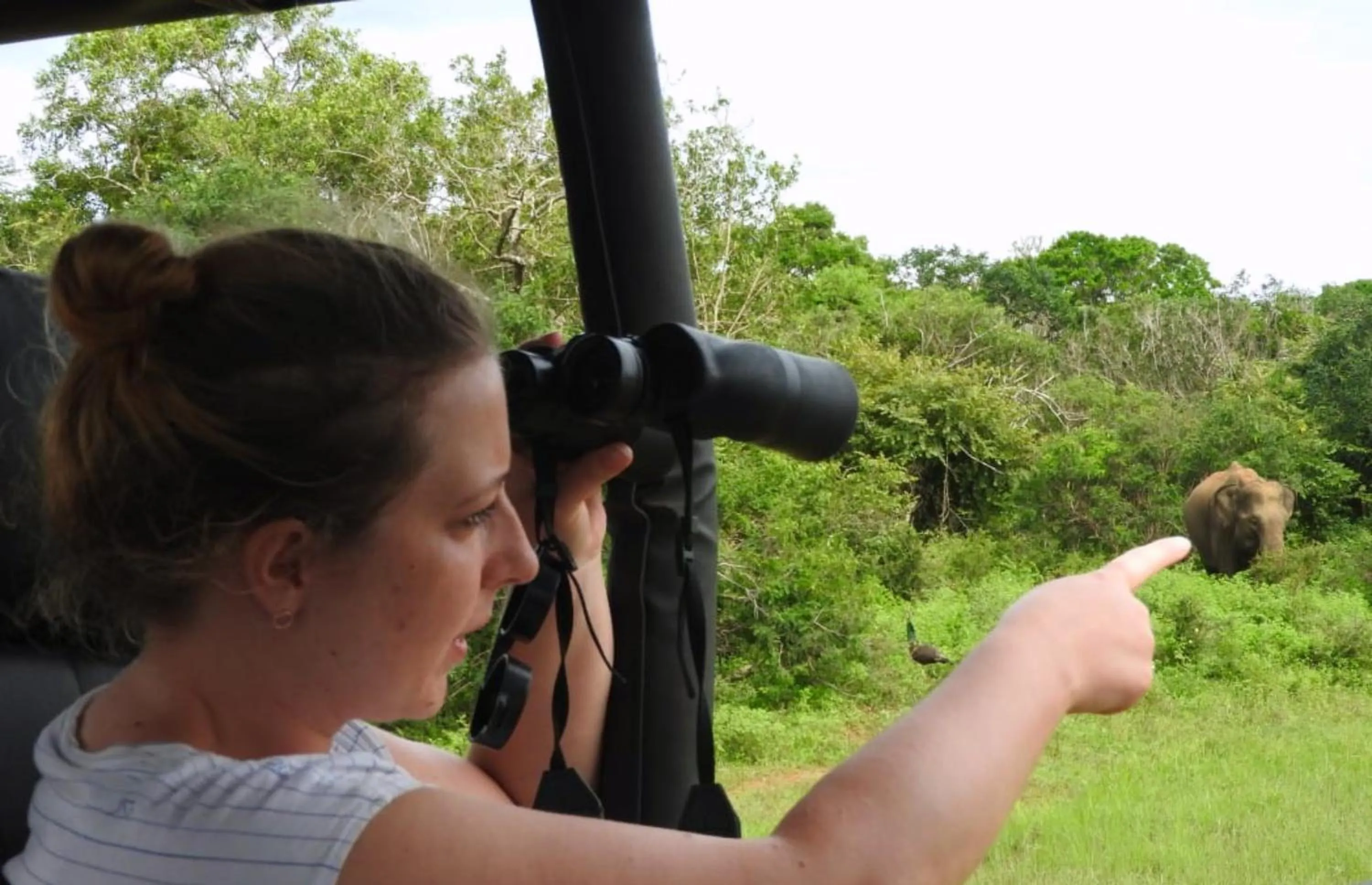 Activities in Funky Leopard Safari Lodge Bordering Yala National Park