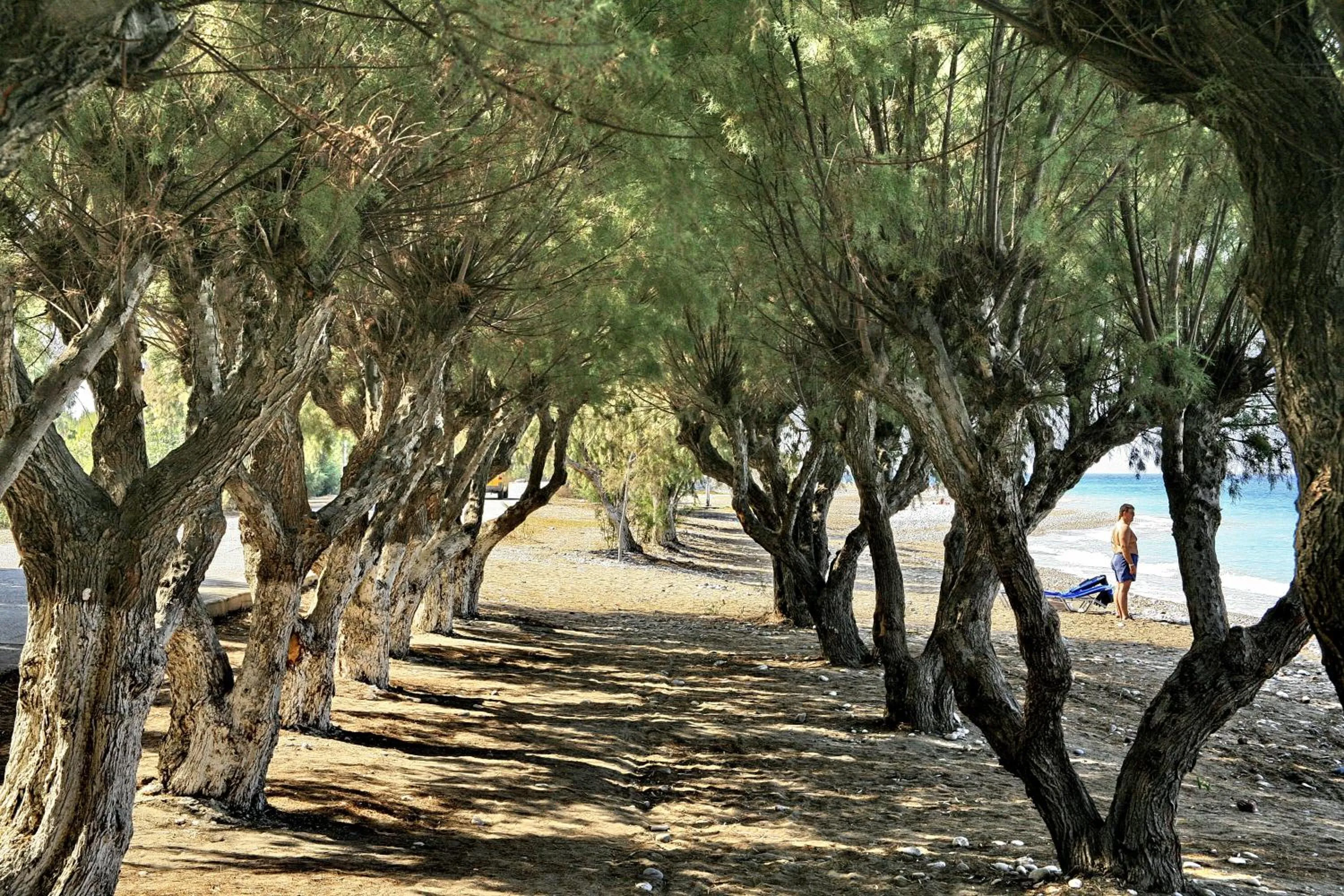 Natural landscape in All Senses Ocean Blue Sea Side Resort - All Inclusive