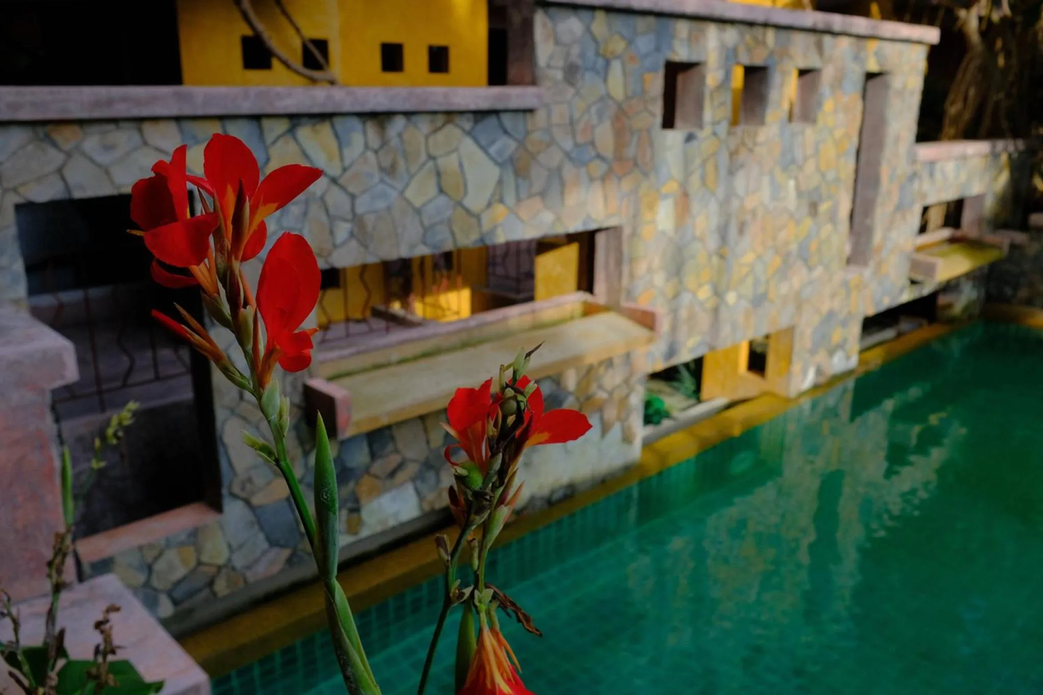 Pool view in The Weenee Boutique