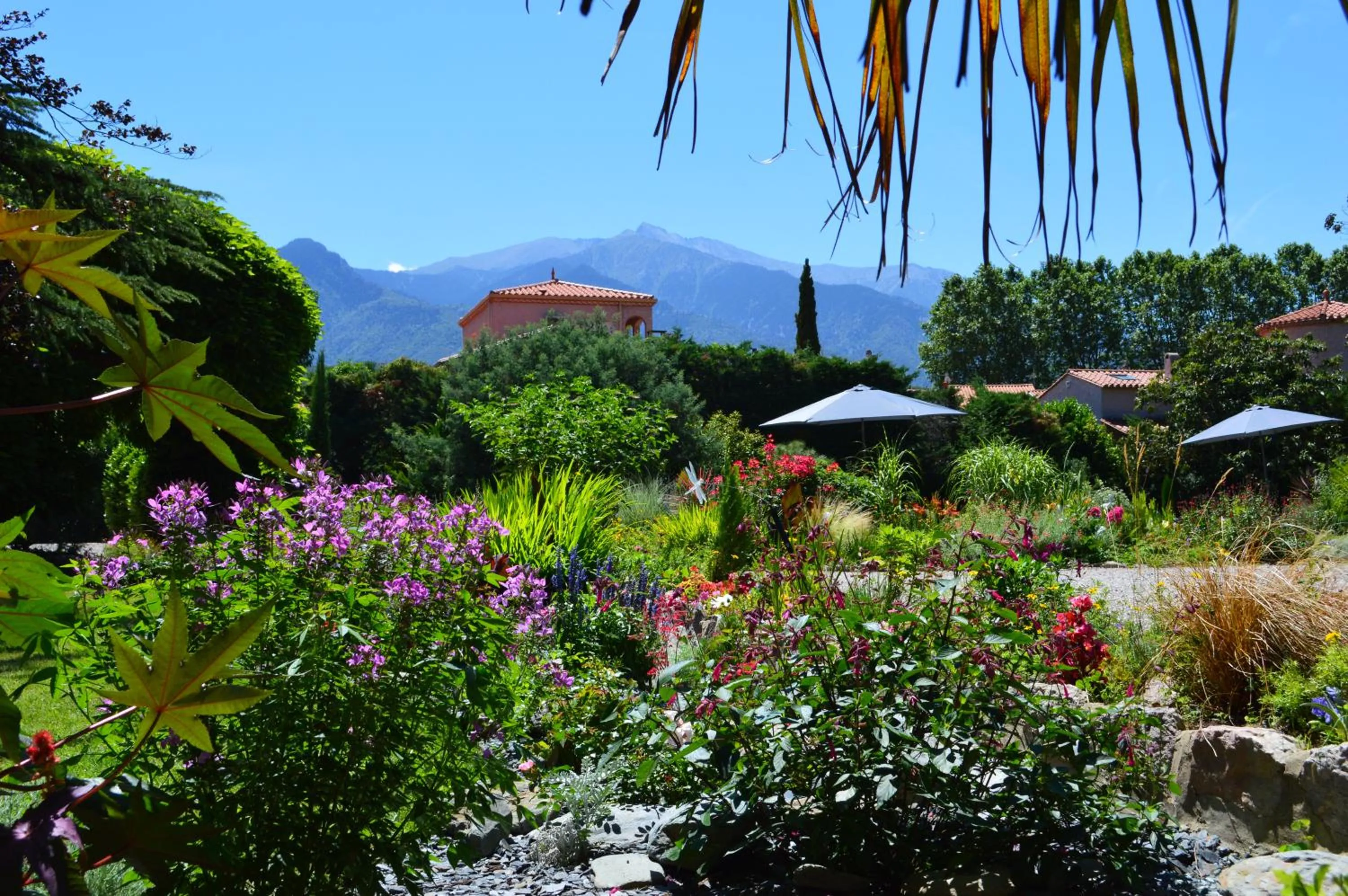 Garden in Villa Lafabregue