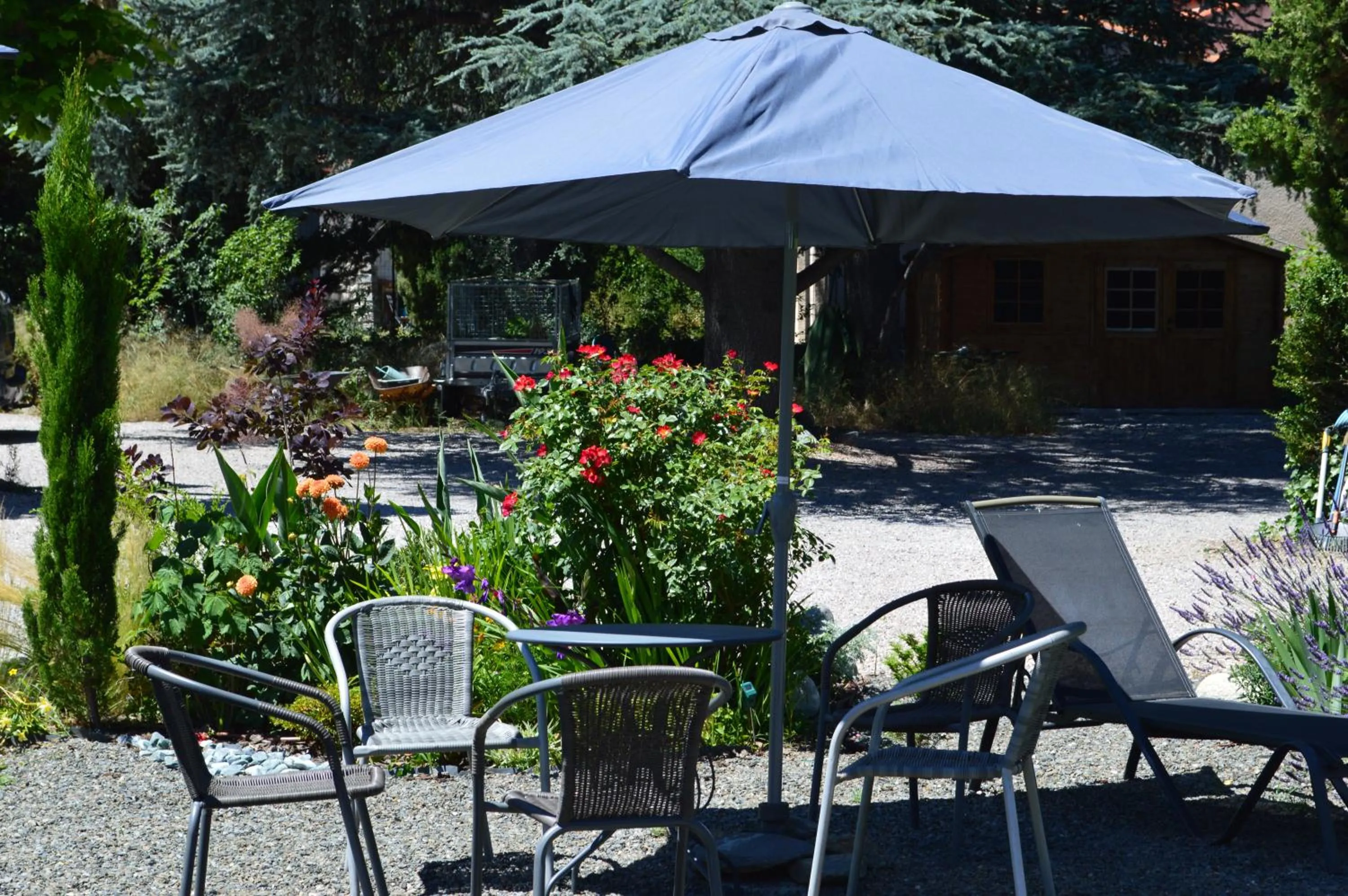 Garden in Villa Lafabregue