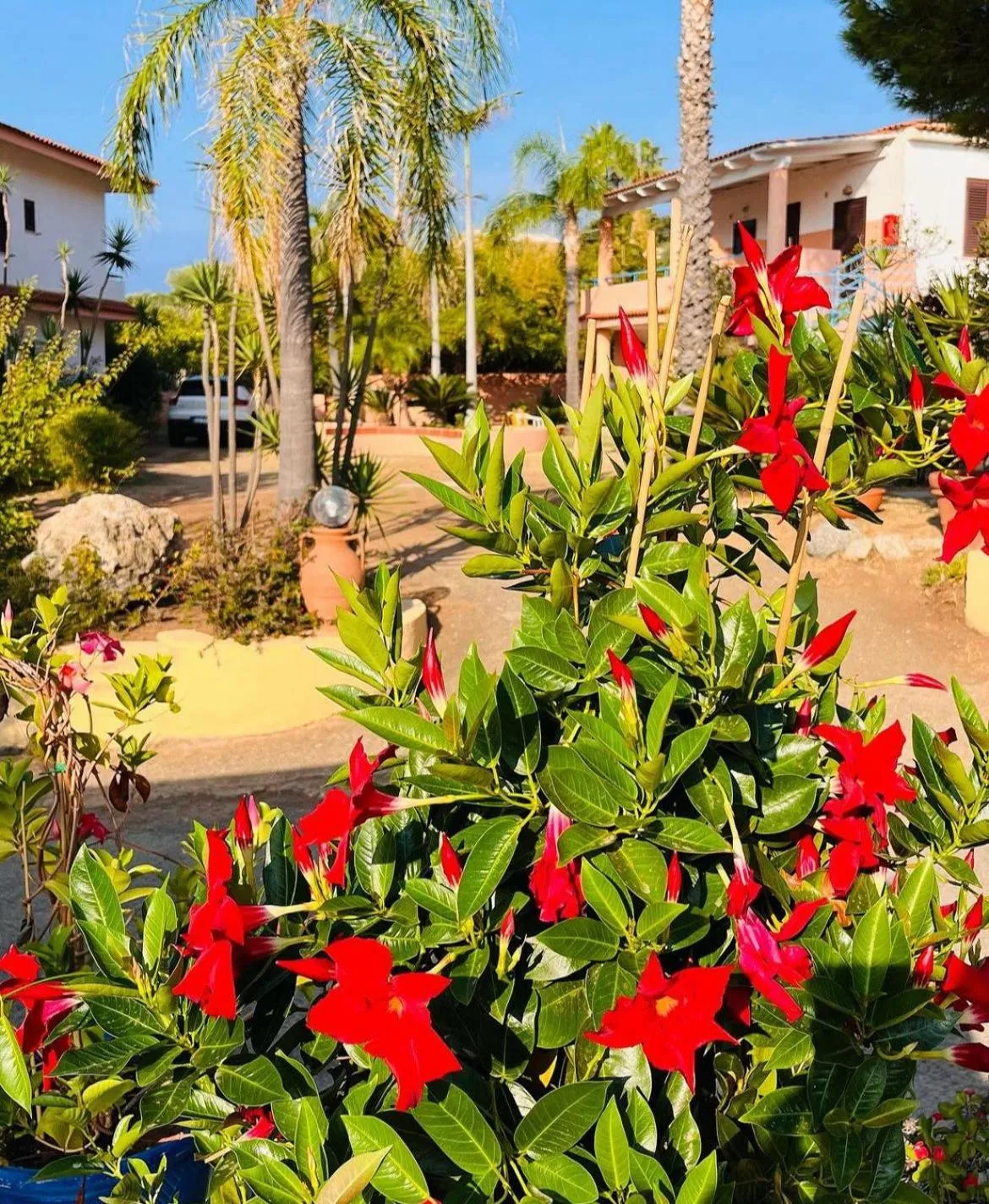 Garden in Hotel Grotticelle