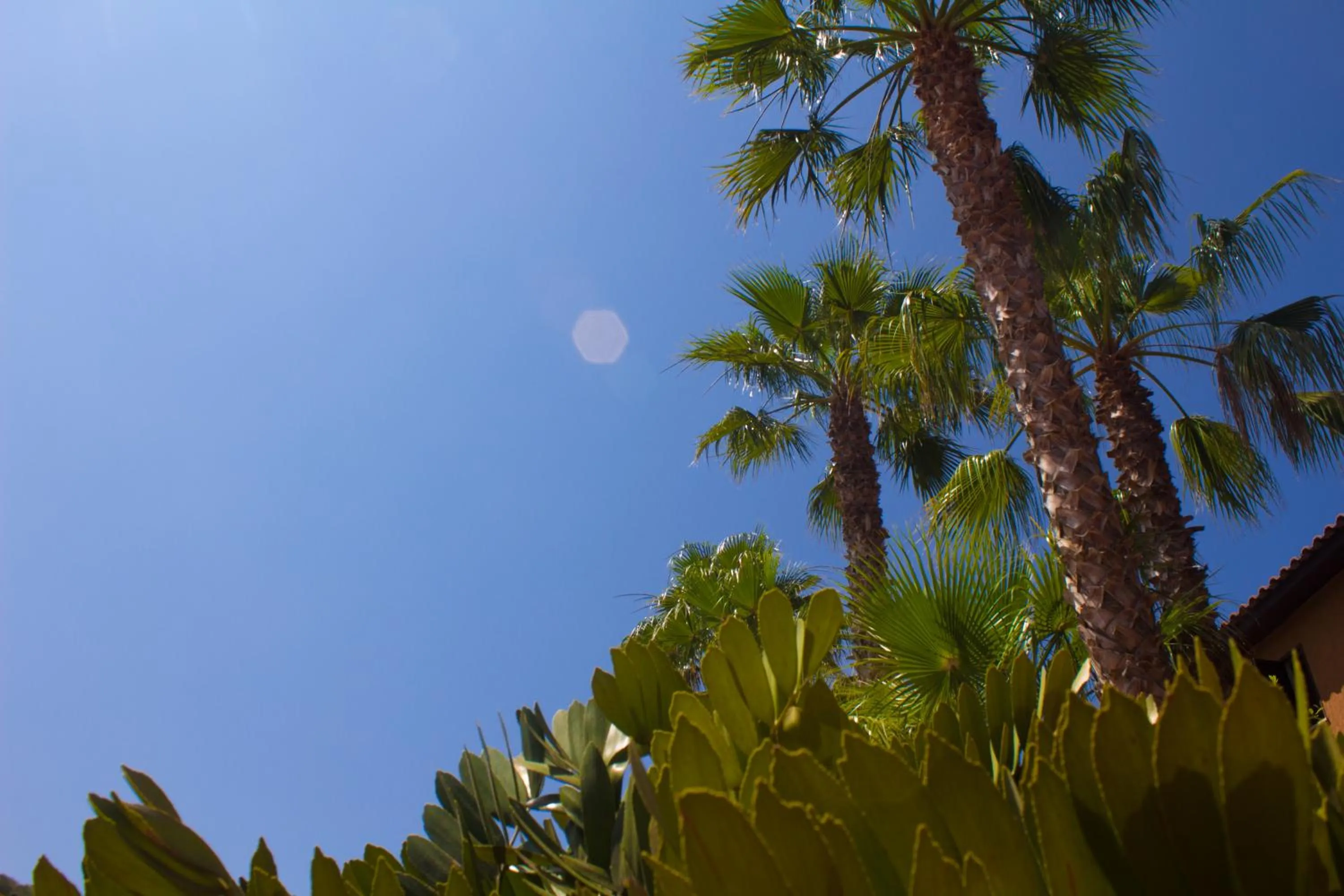 Garden in Hotel Grotticelle