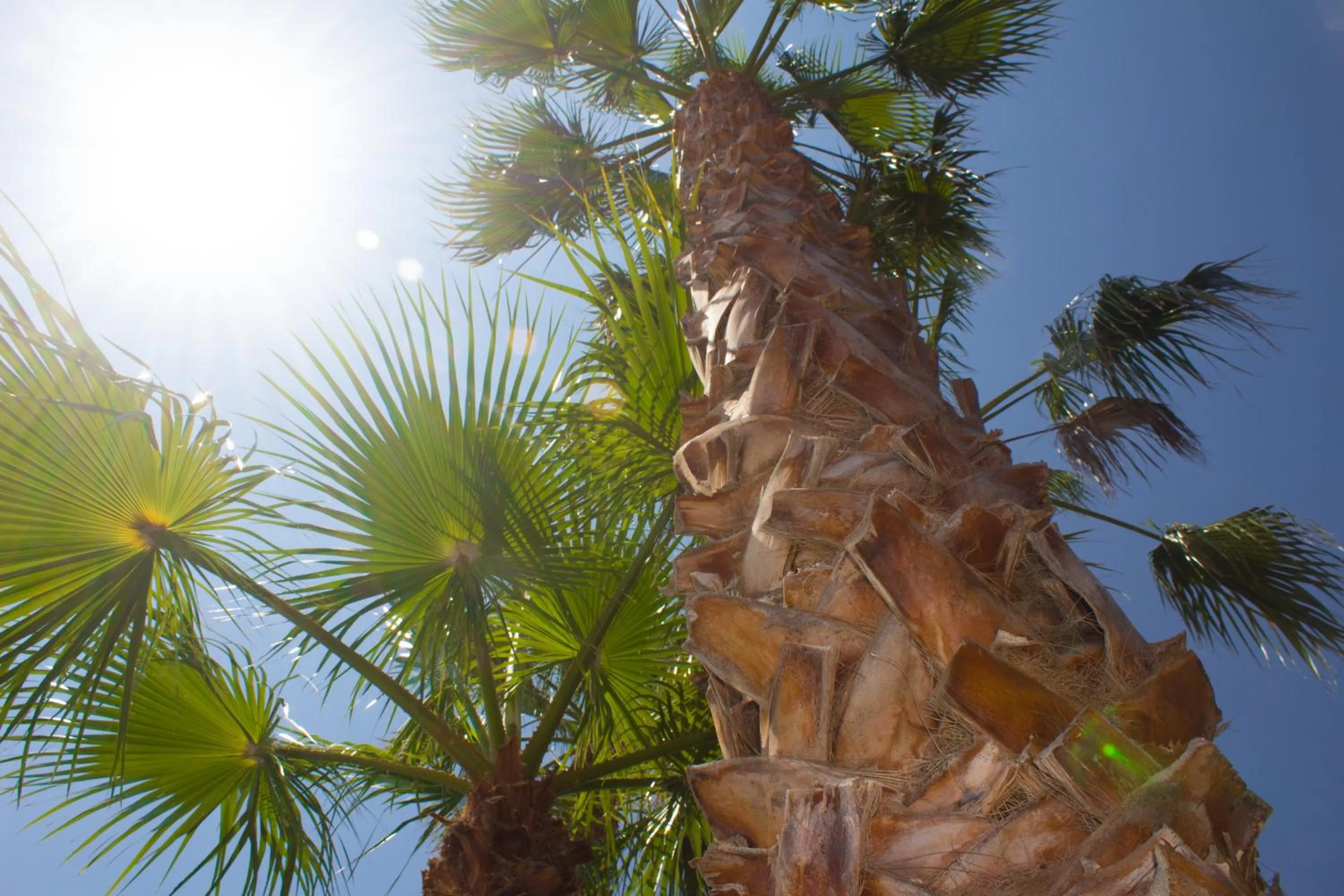 Garden in Hotel Grotticelle