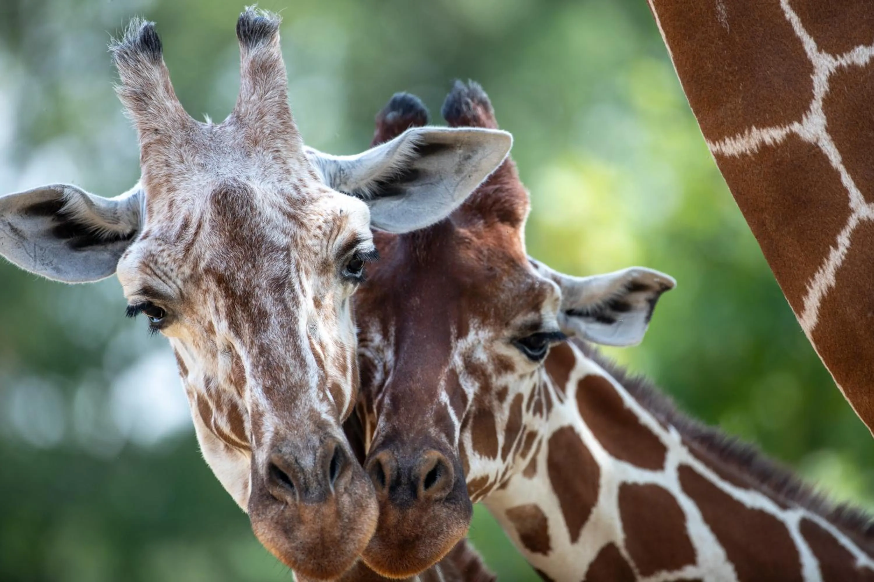 Relais Touraine Sologne