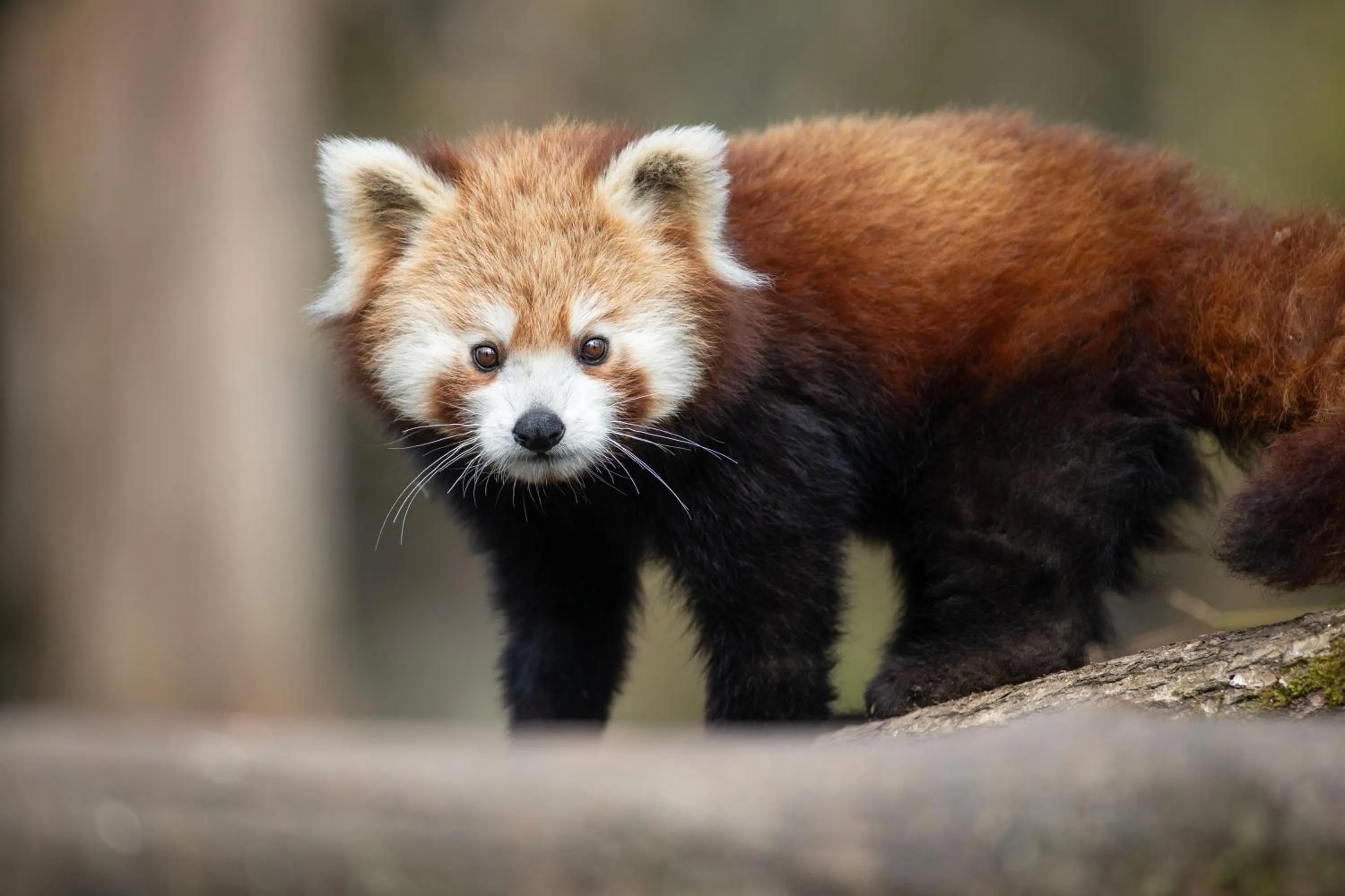 Relais Touraine Sologne