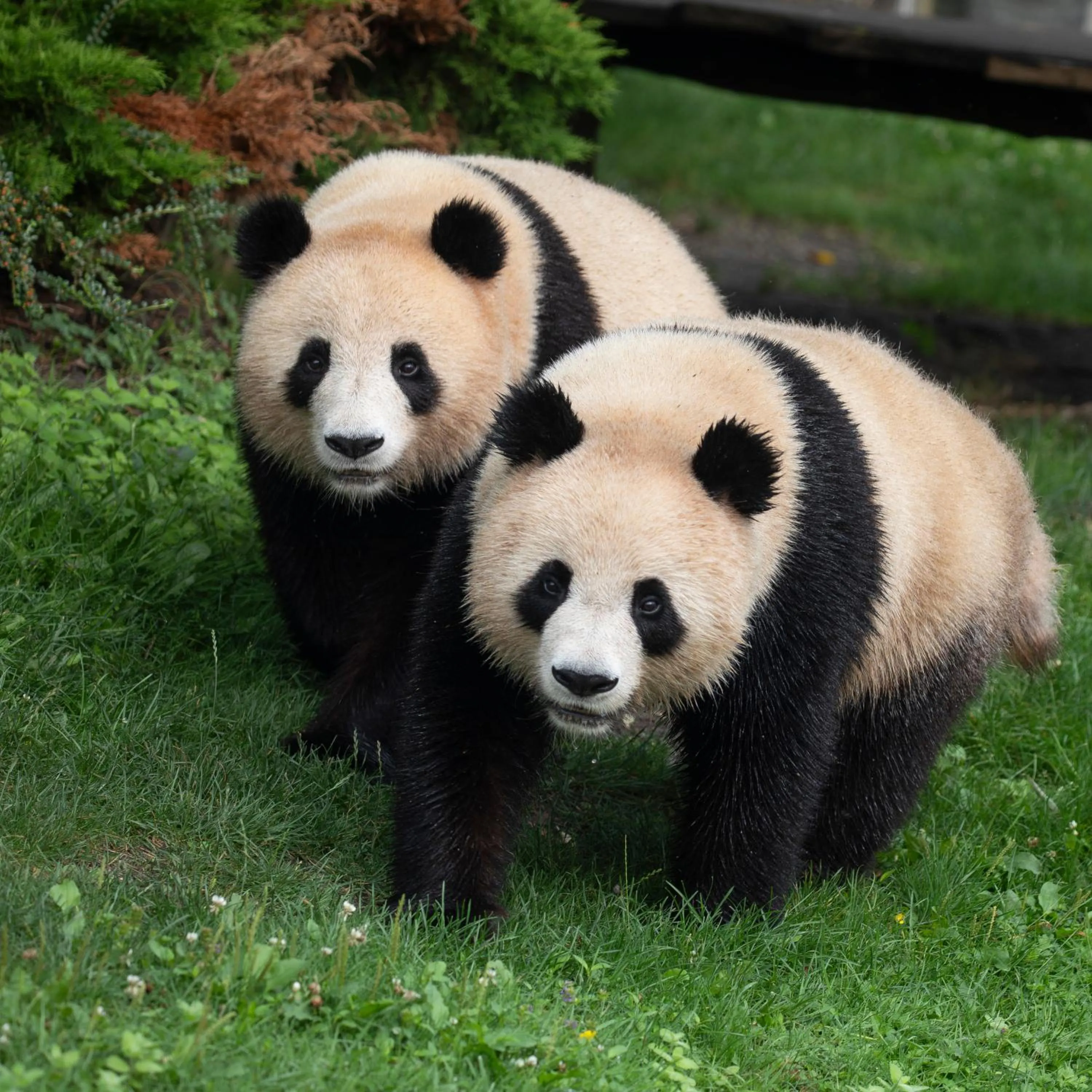 Relais Touraine Sologne