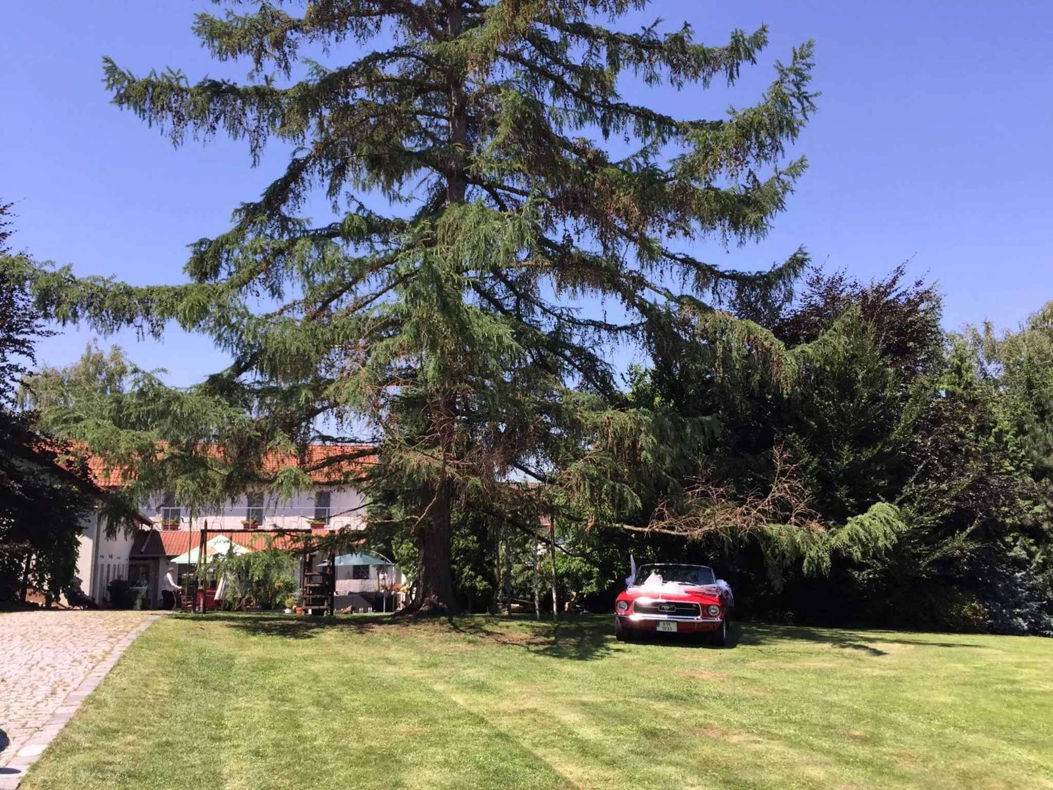 Balcony/Terrace in Alt pension