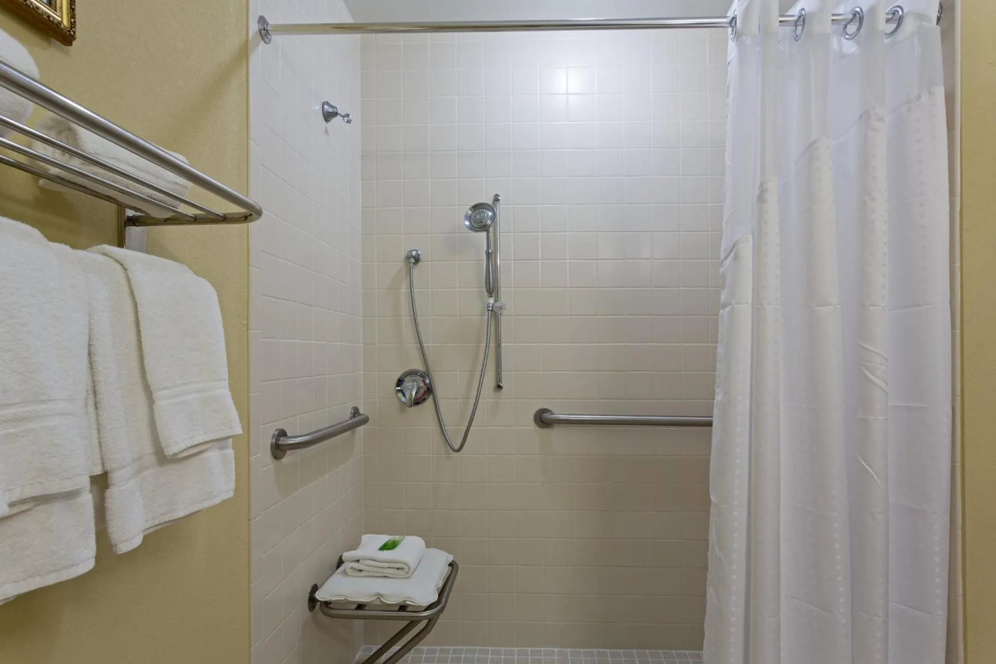 Bathroom in Holiday Inn Express & Suites Sebring by IHG