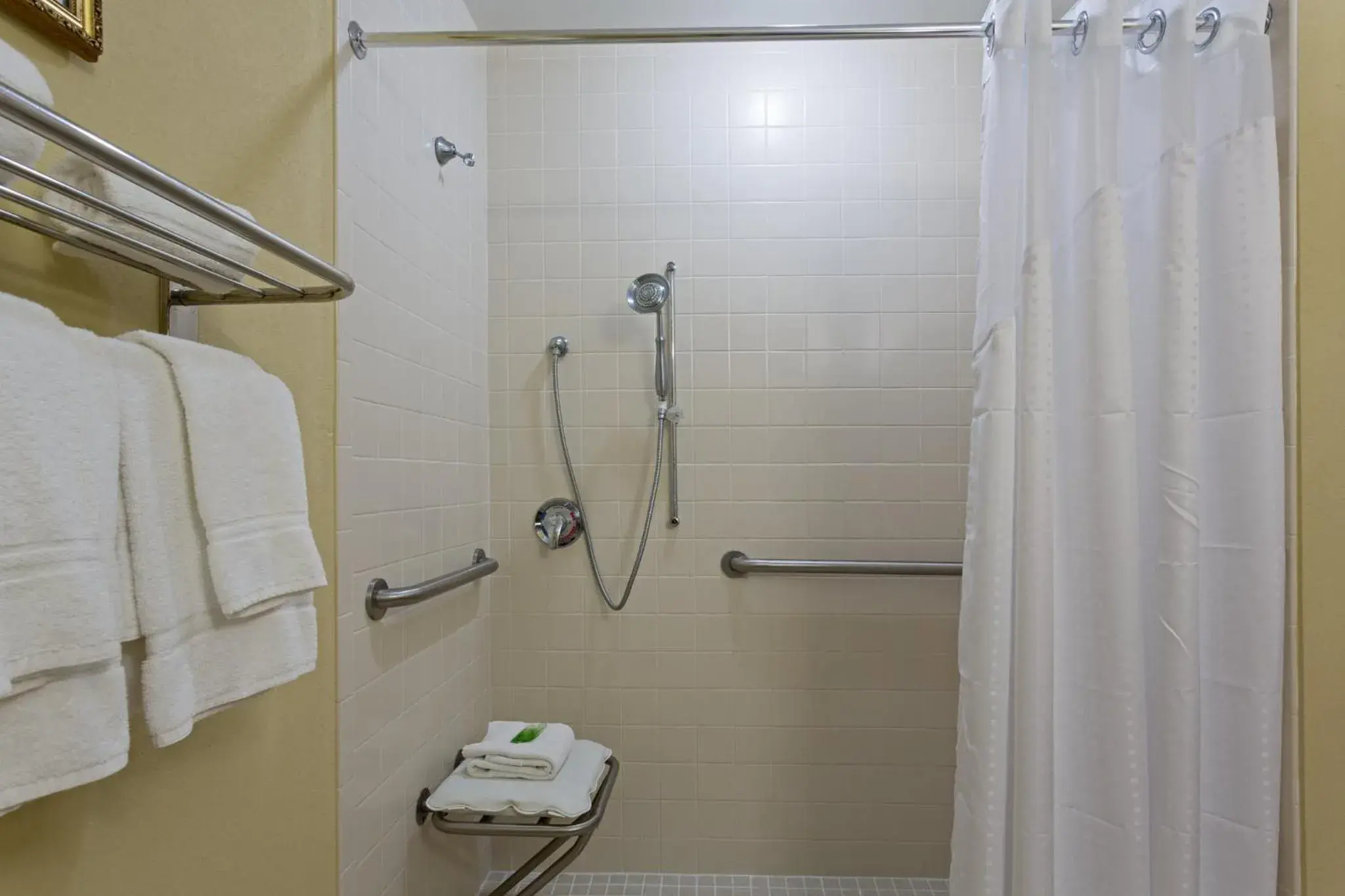 Bathroom in Holiday Inn Express & Suites Sebring by IHG Bathroom in Holiday Inn Express & Suites Sebring by IHG