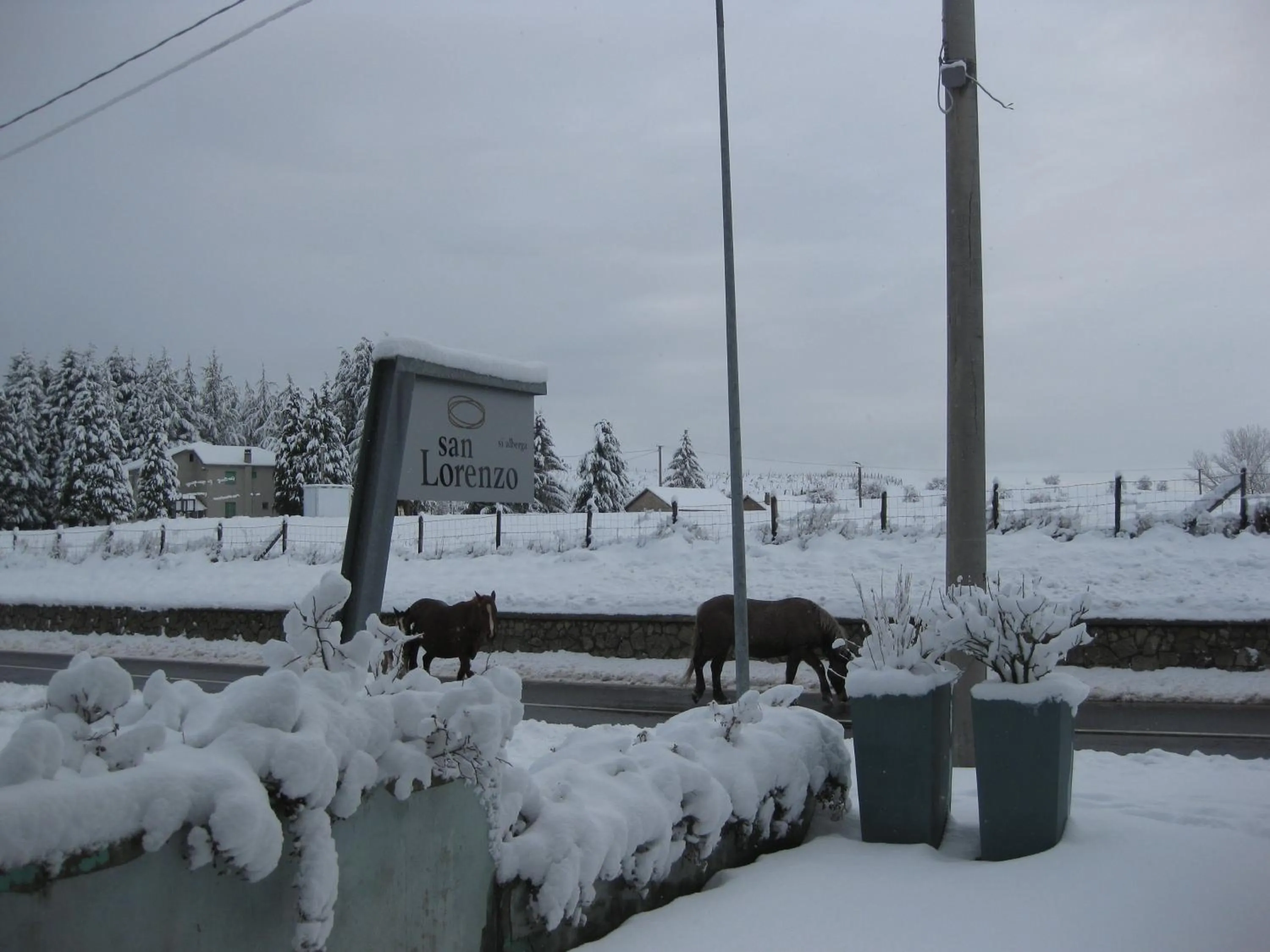 Property logo or sign in San Lorenzo Si Alberga