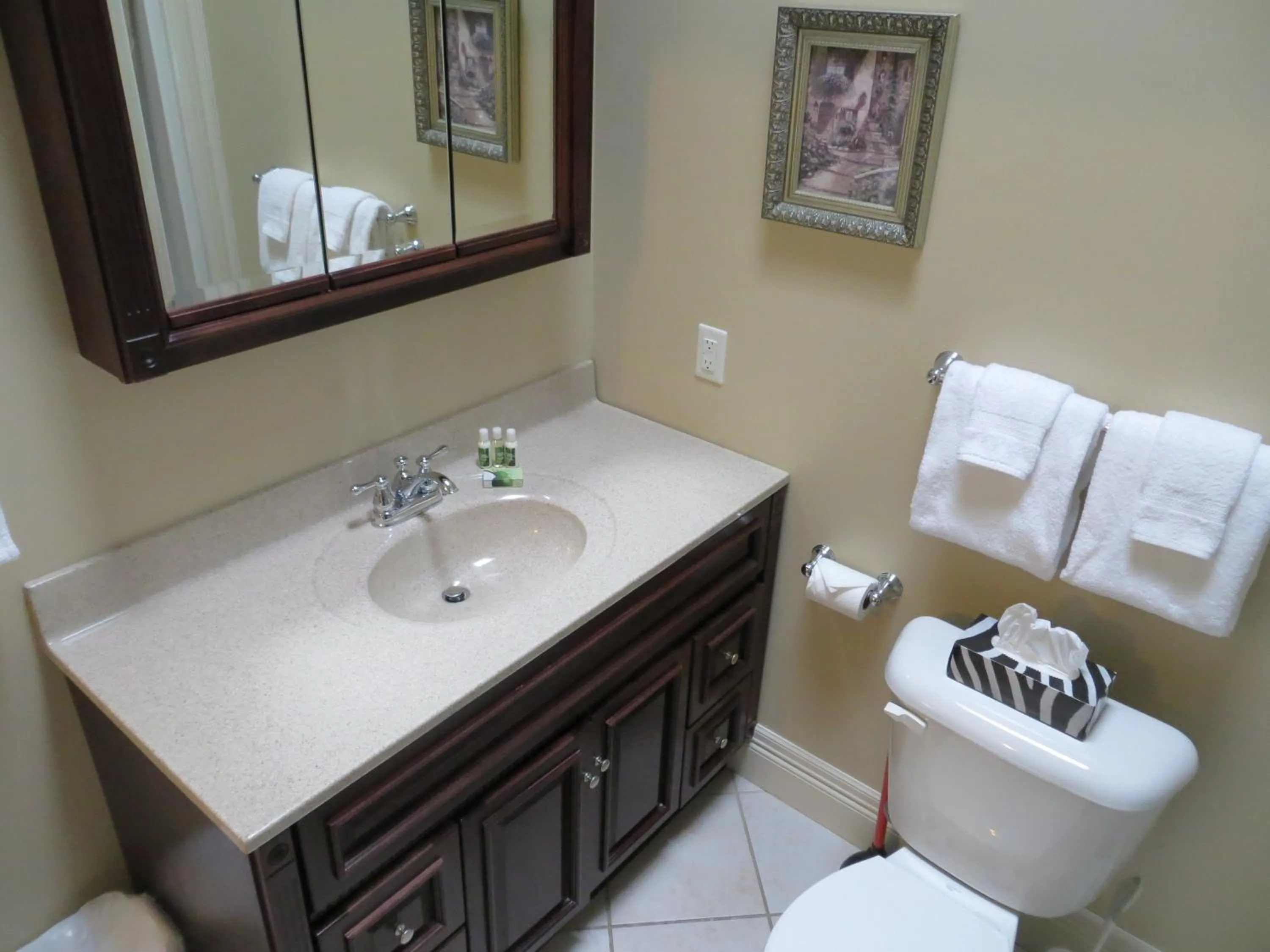 Bathroom in Chipman Hill Suites - Union Street