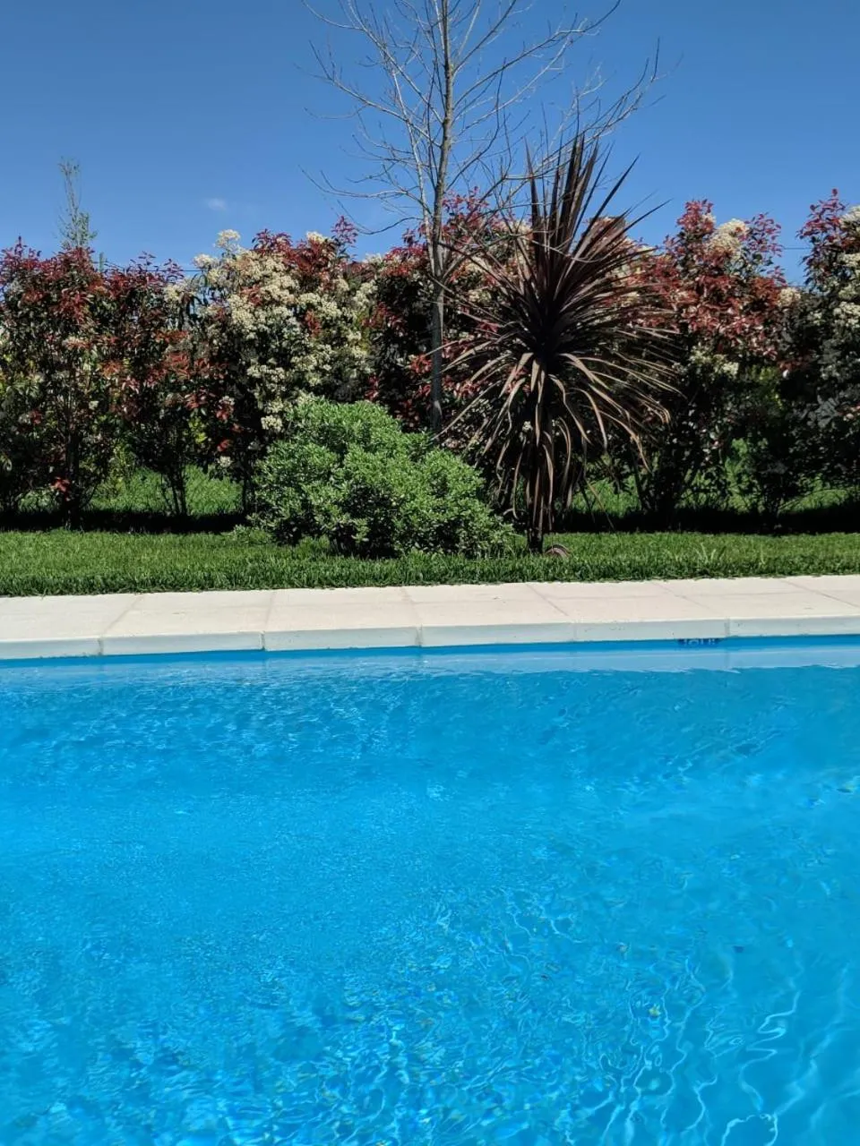 La Colorada