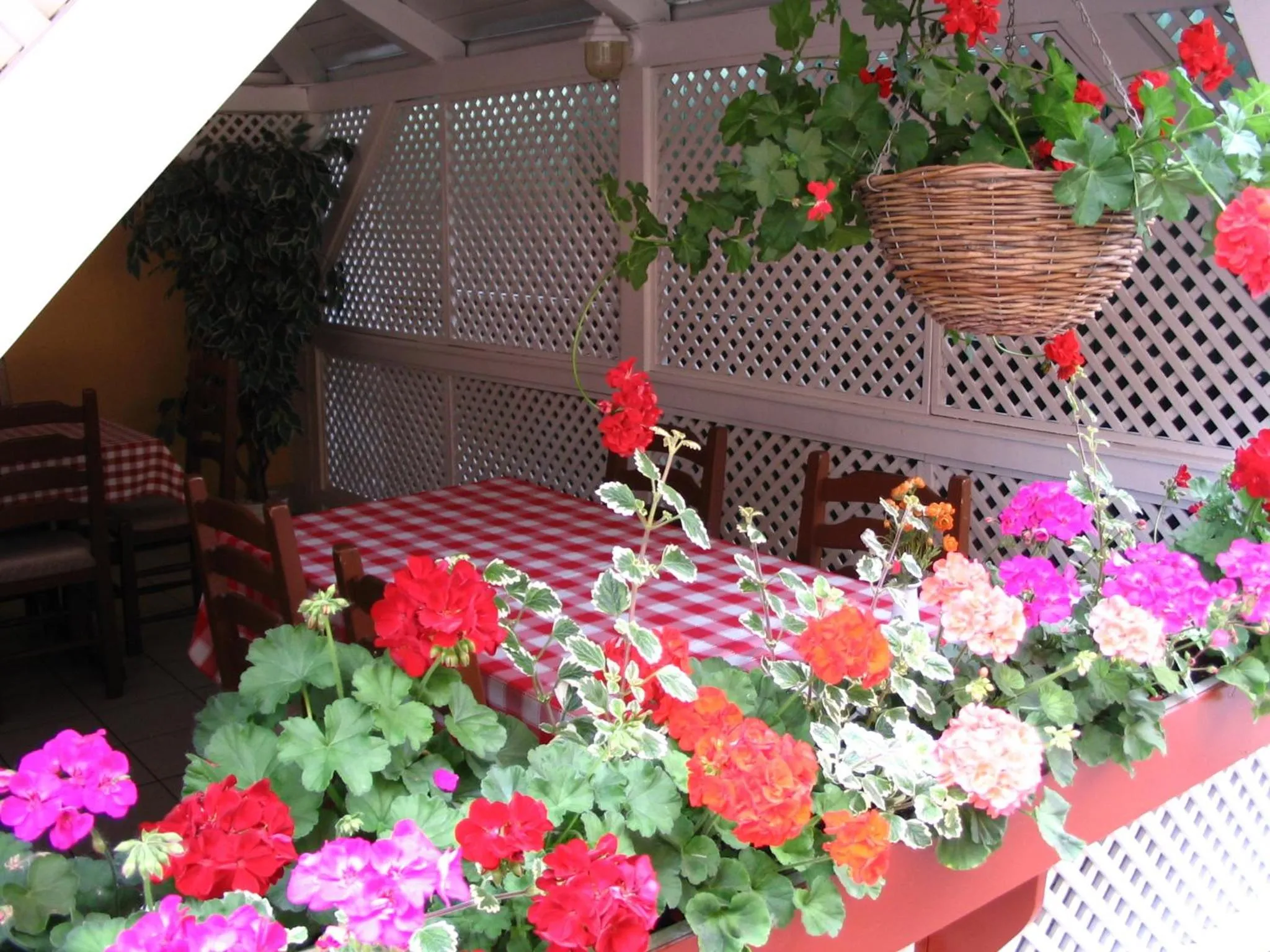 Balcony/Terrace in Halász Airport Panzio