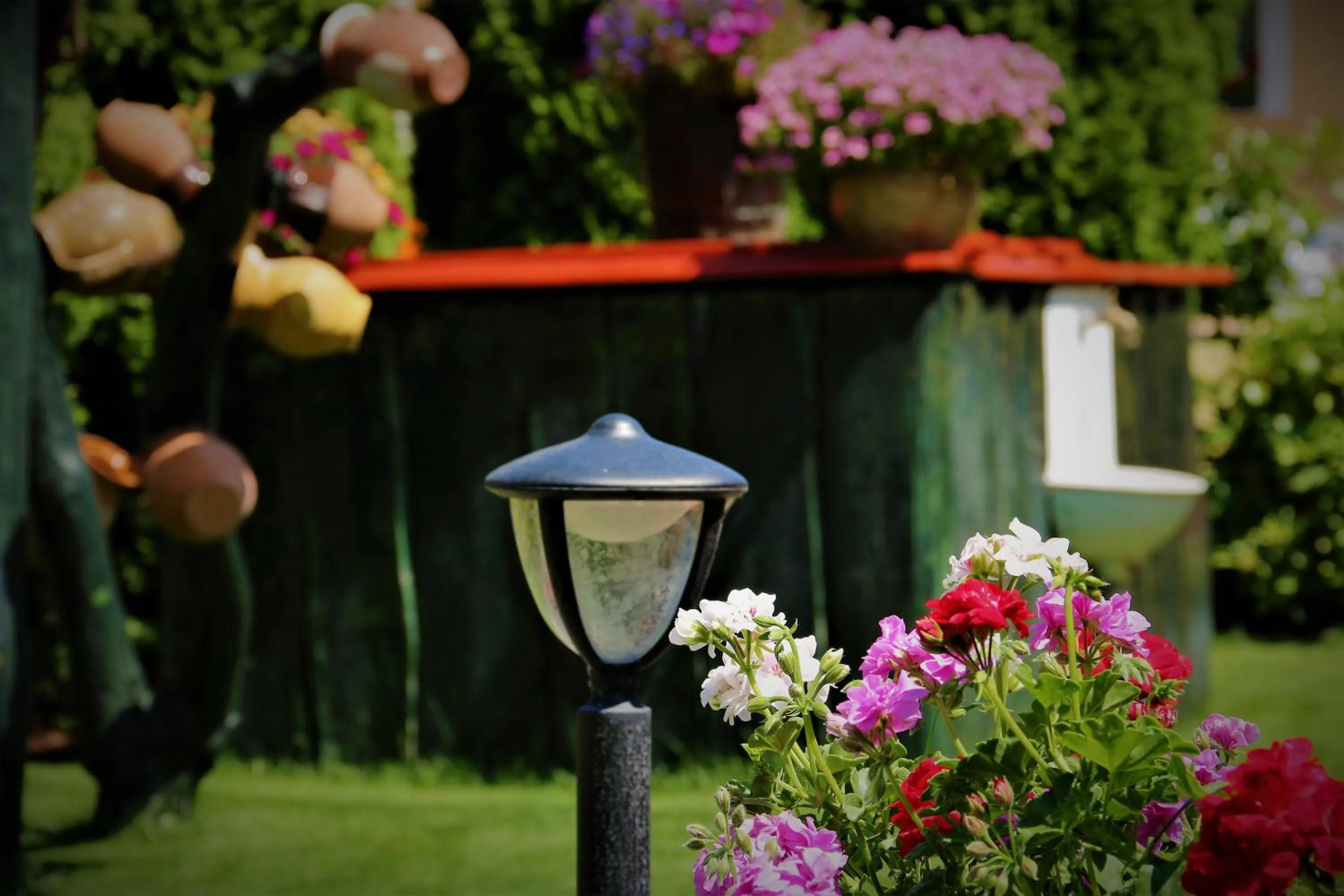 Garden in Halász Airport Panzio