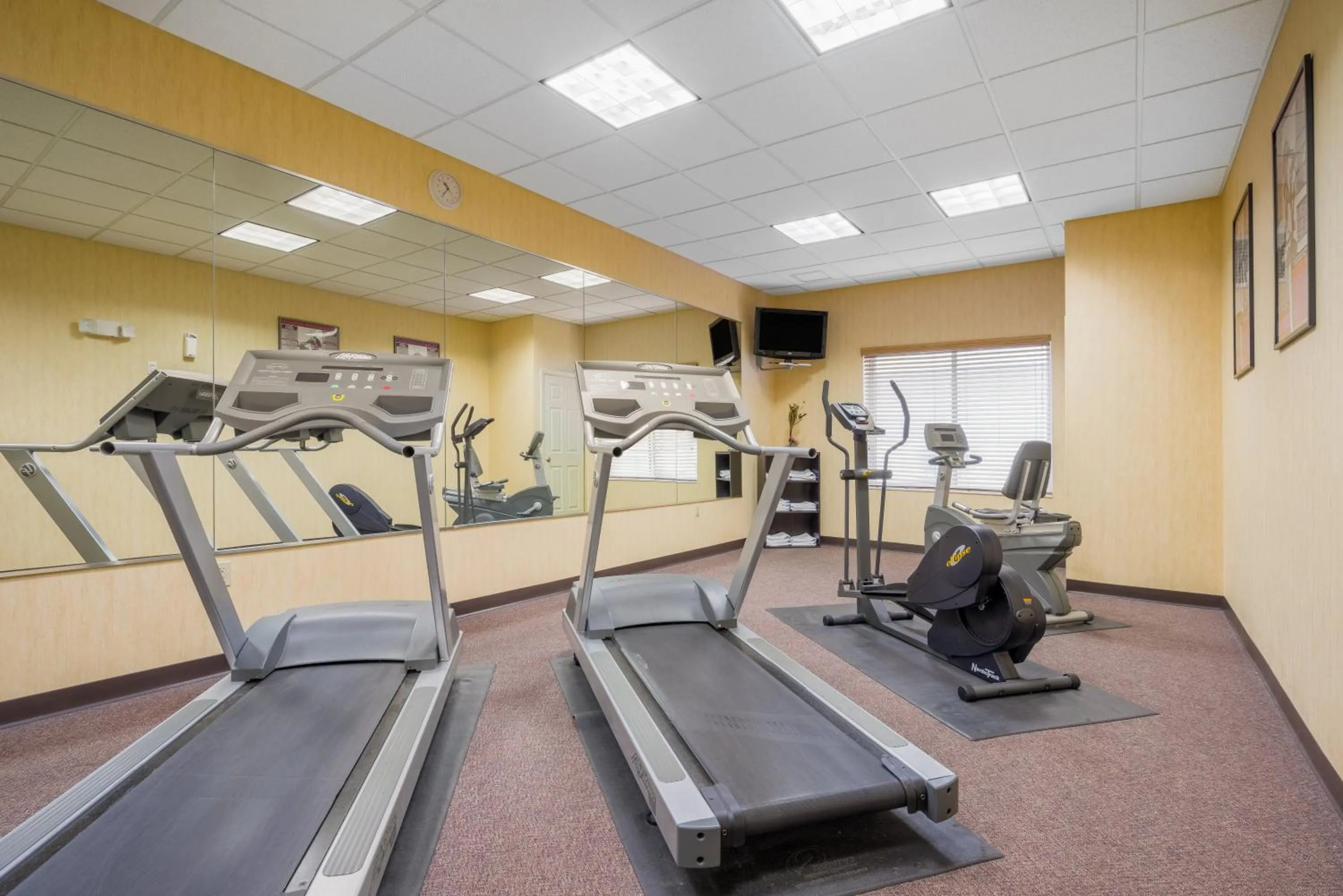 Fitness centre/facilities in Wyndham Garden Otsego-Minneapolis