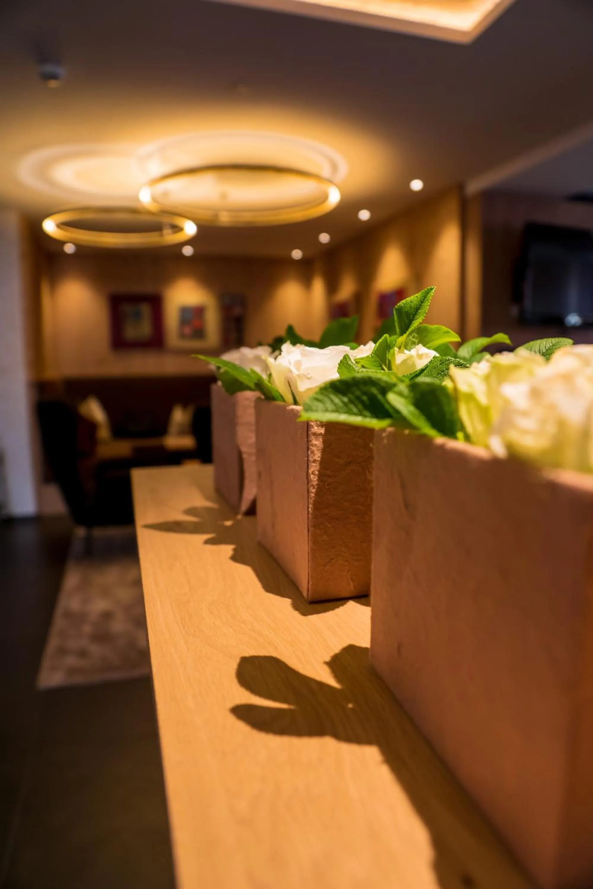 Banquet/Function facilities in Alpen-Comfort-Hotel Central