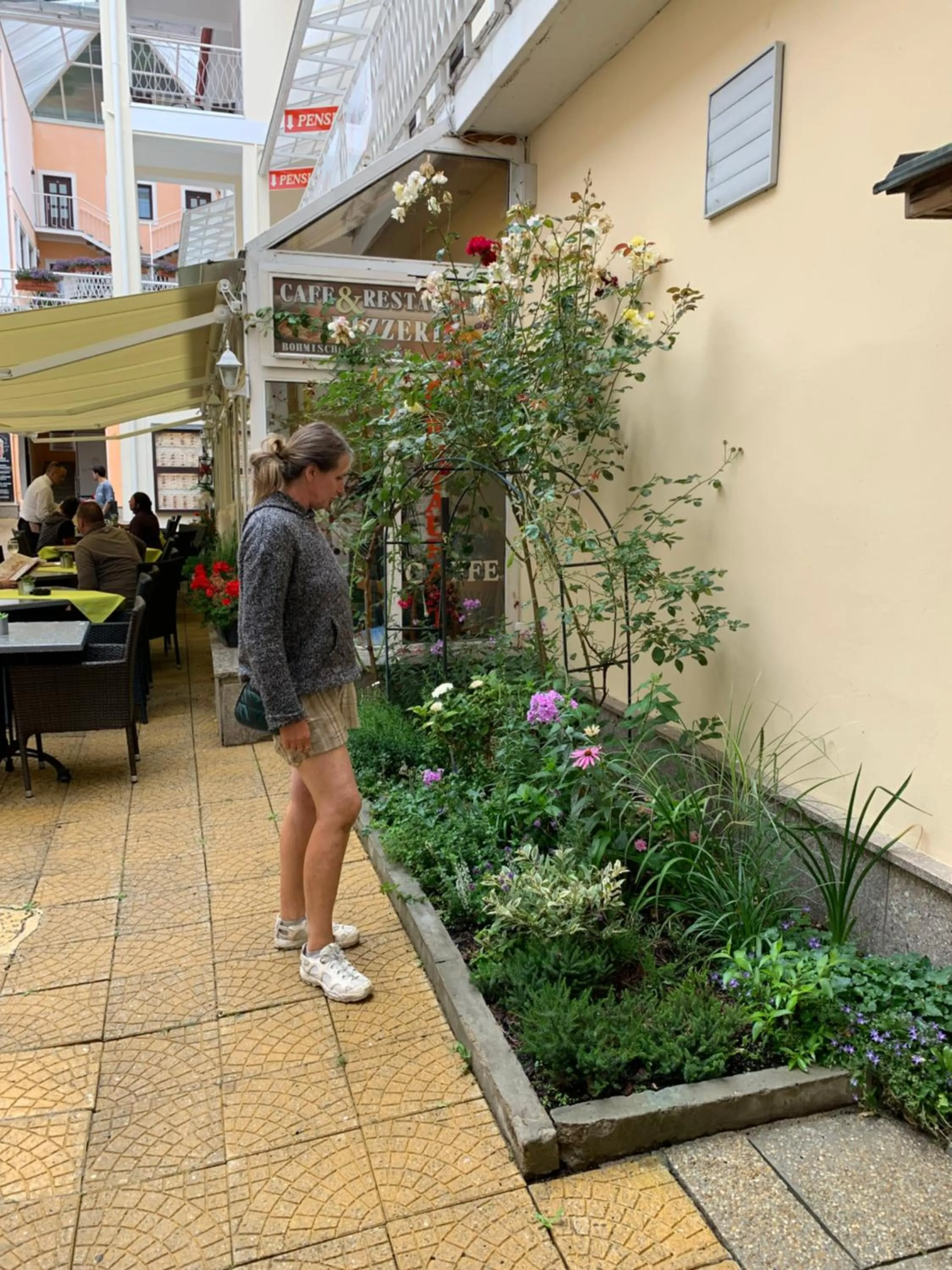 Garden in Apartma La Provence
