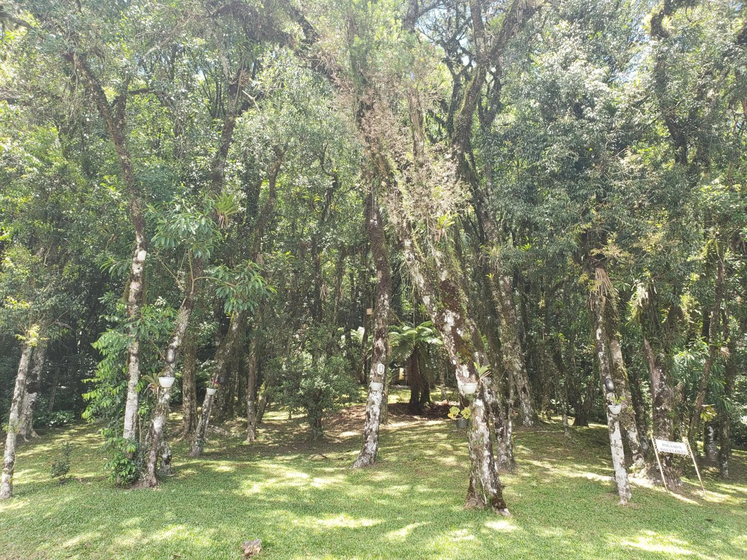 Natural landscape in Hotel Pousada das Flores
