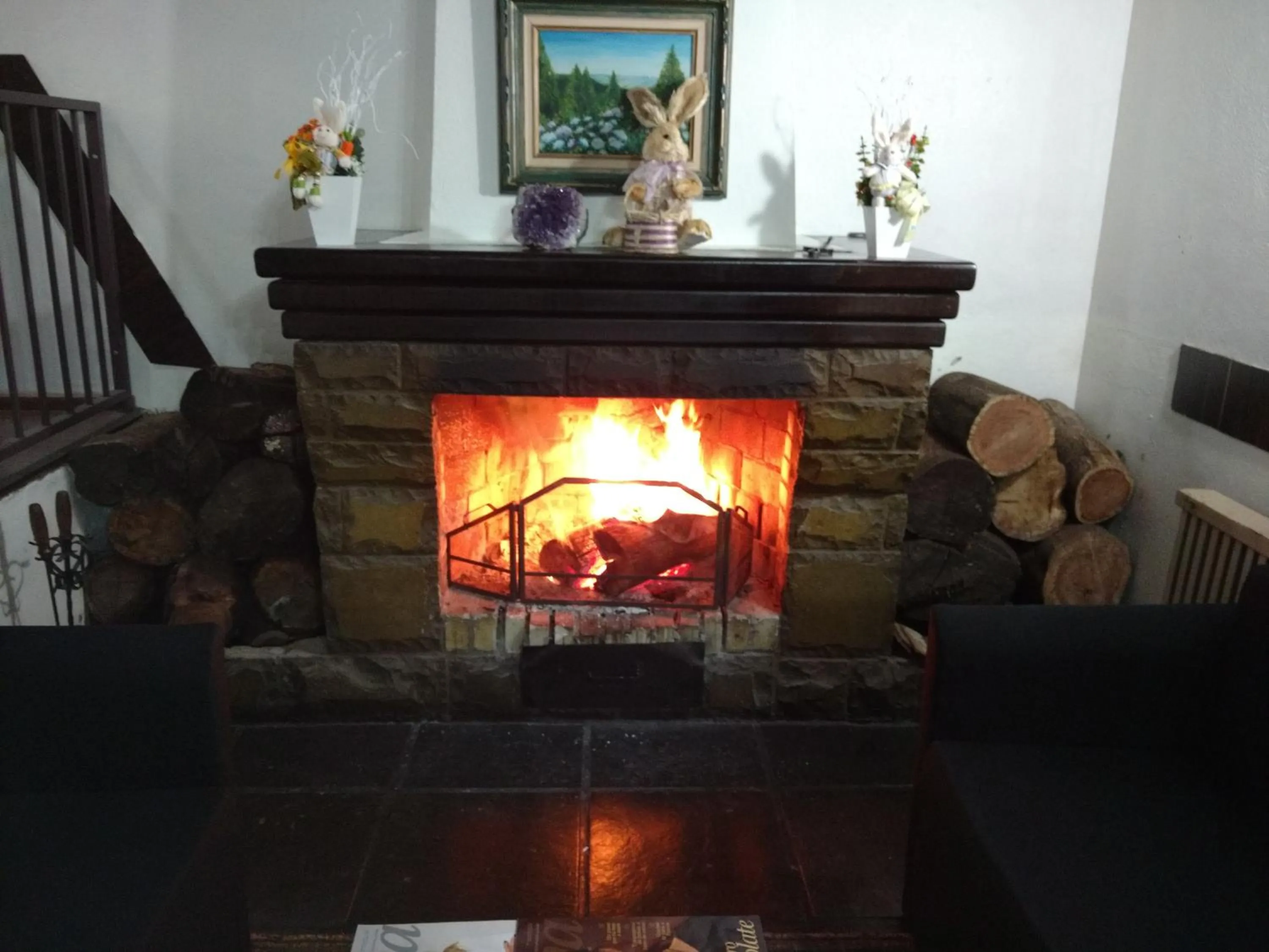 Living room in Hotel Pousada das Flores