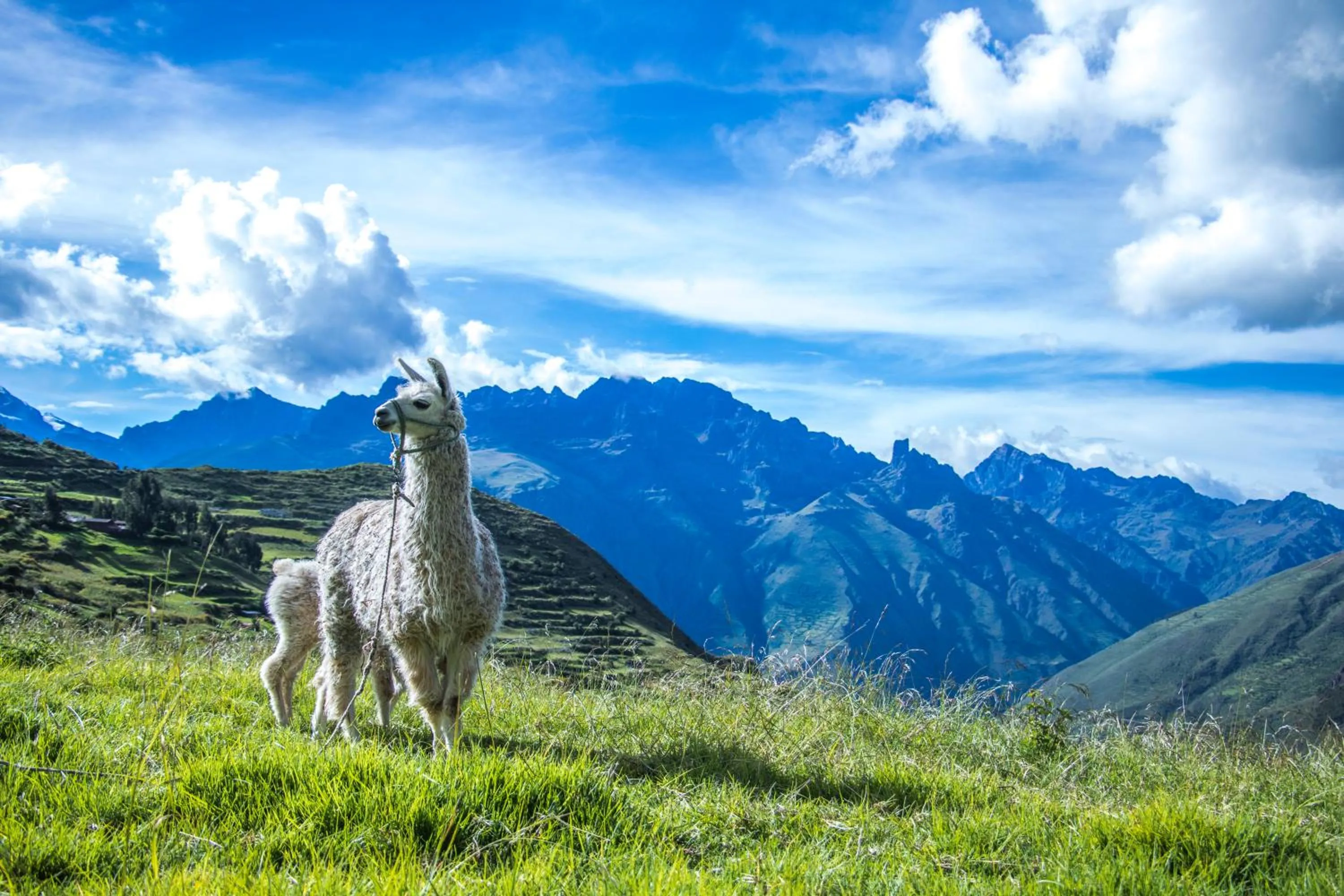 Natural landscape in Hotel California Calca