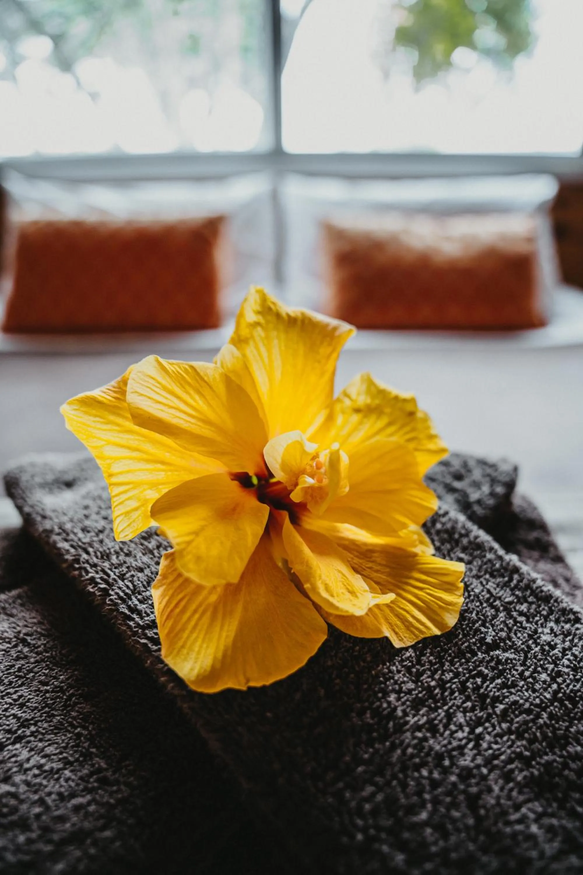 Bed in Tatahi Cove Back Packer