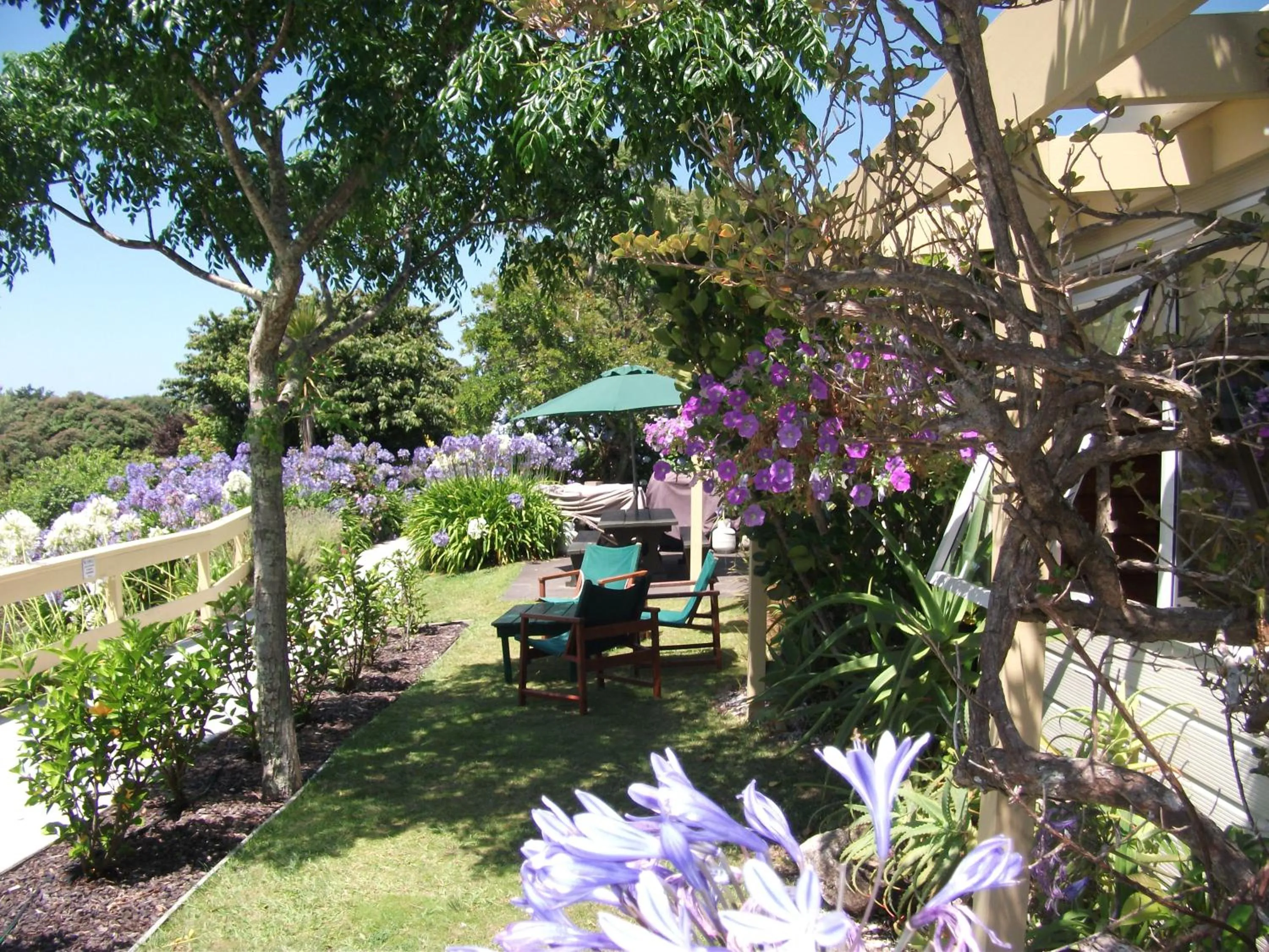Garden view in Tatahi Cove Back Packer