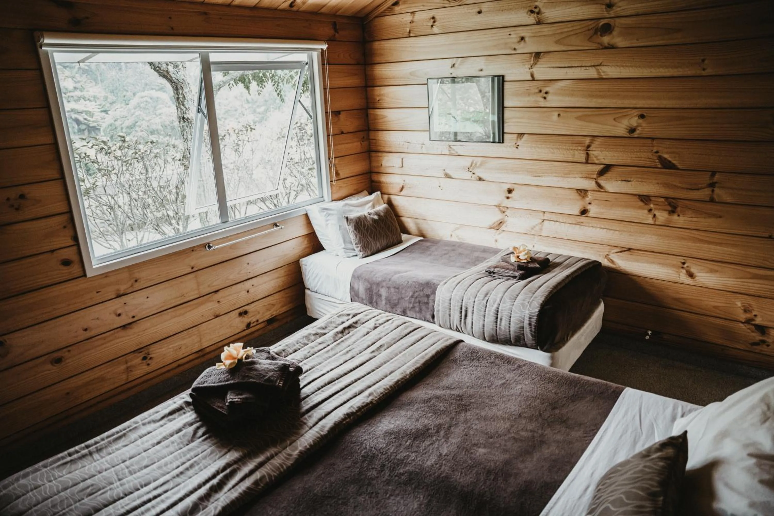 Bed in Tatahi Cove Back Packer