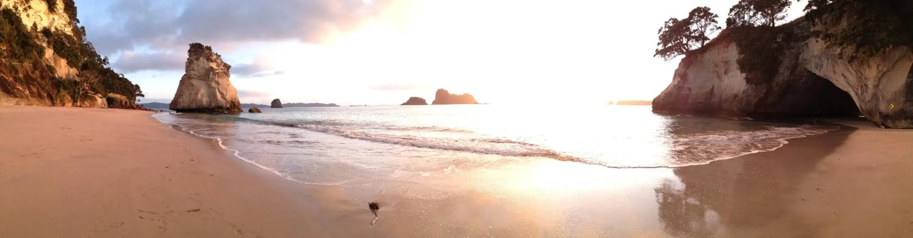 Nearby landmark in Tatahi Cove Back Packer