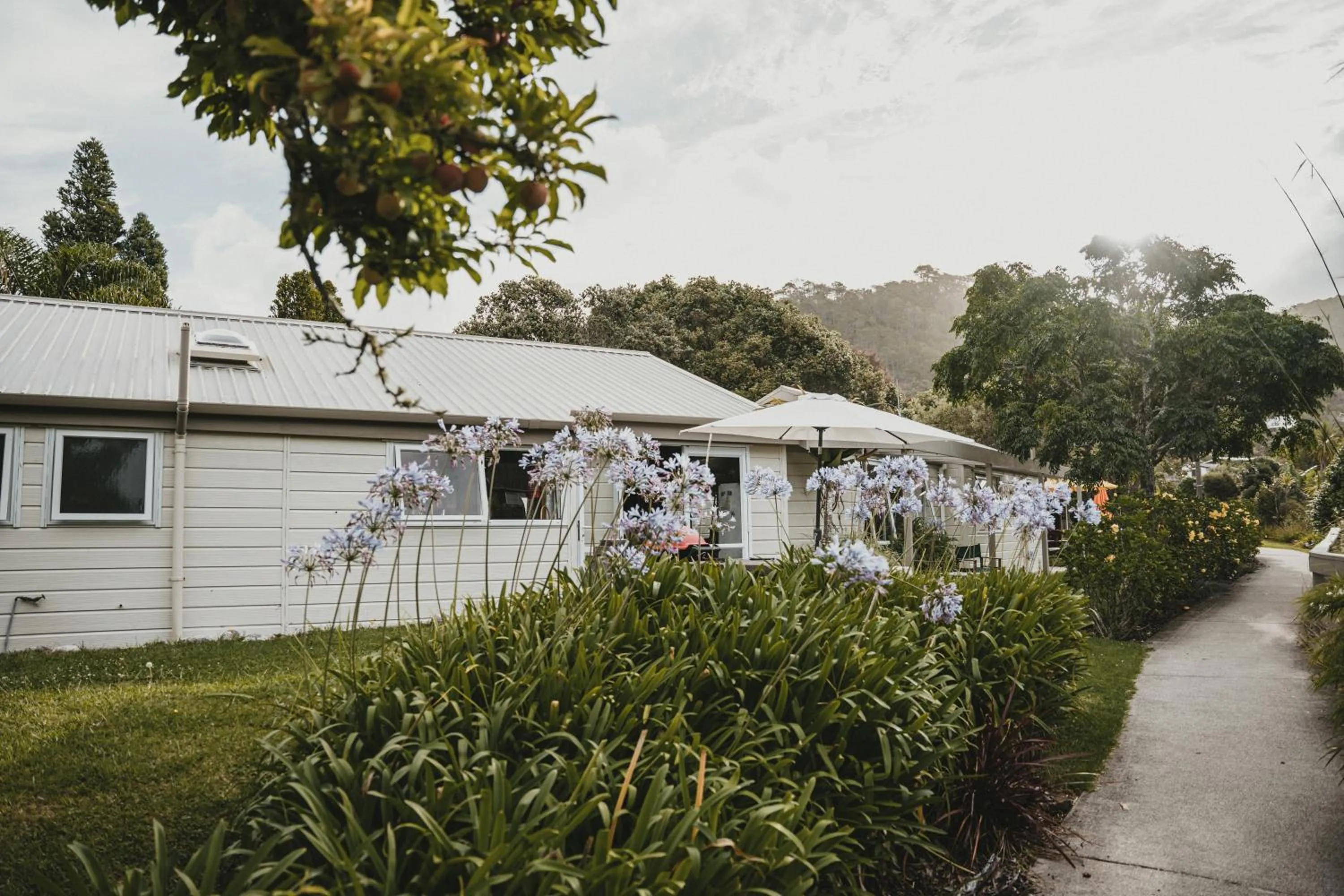 Property building in Tatahi Cove Back Packer