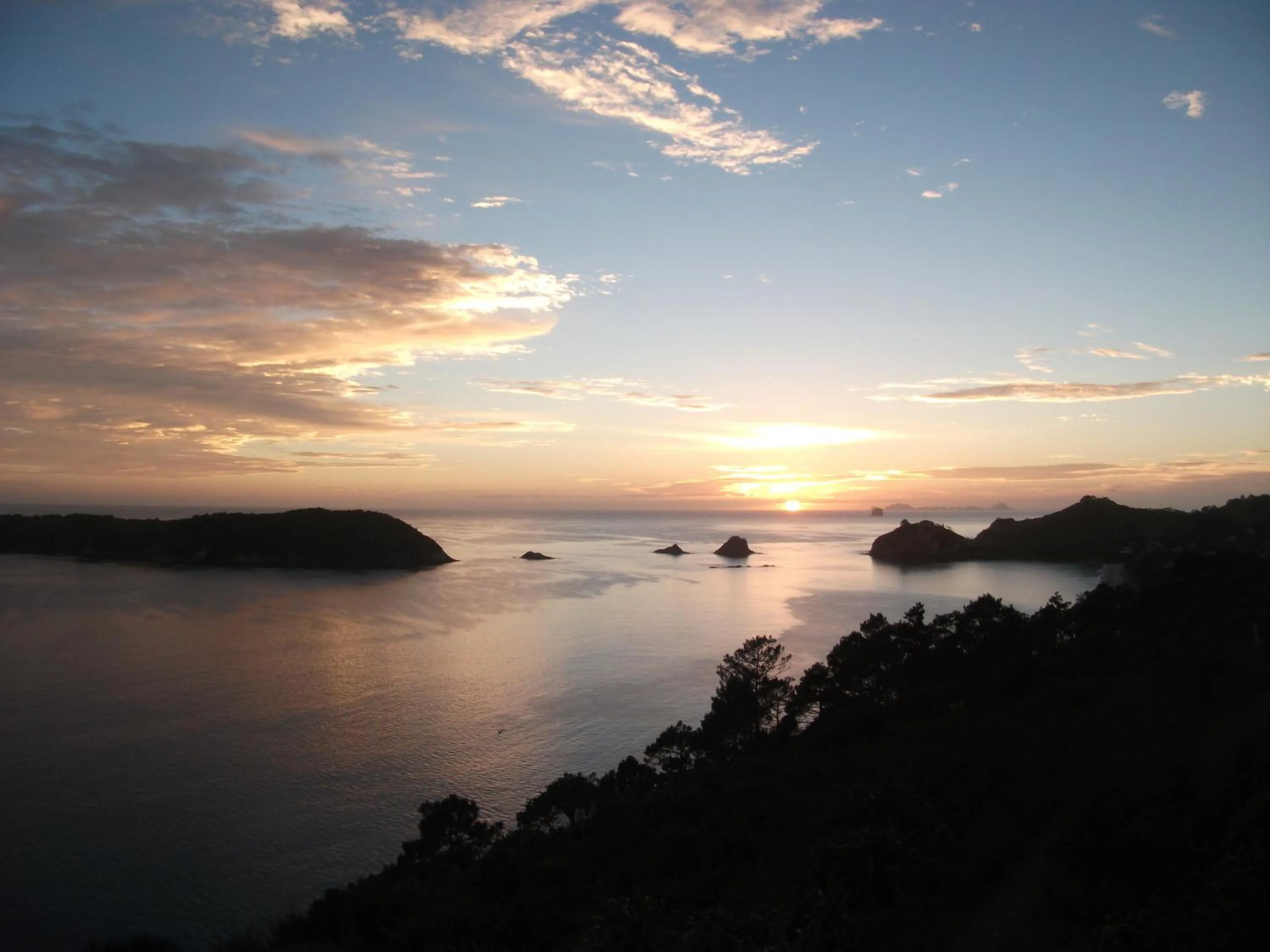 Other in Tatahi Cove Back Packer