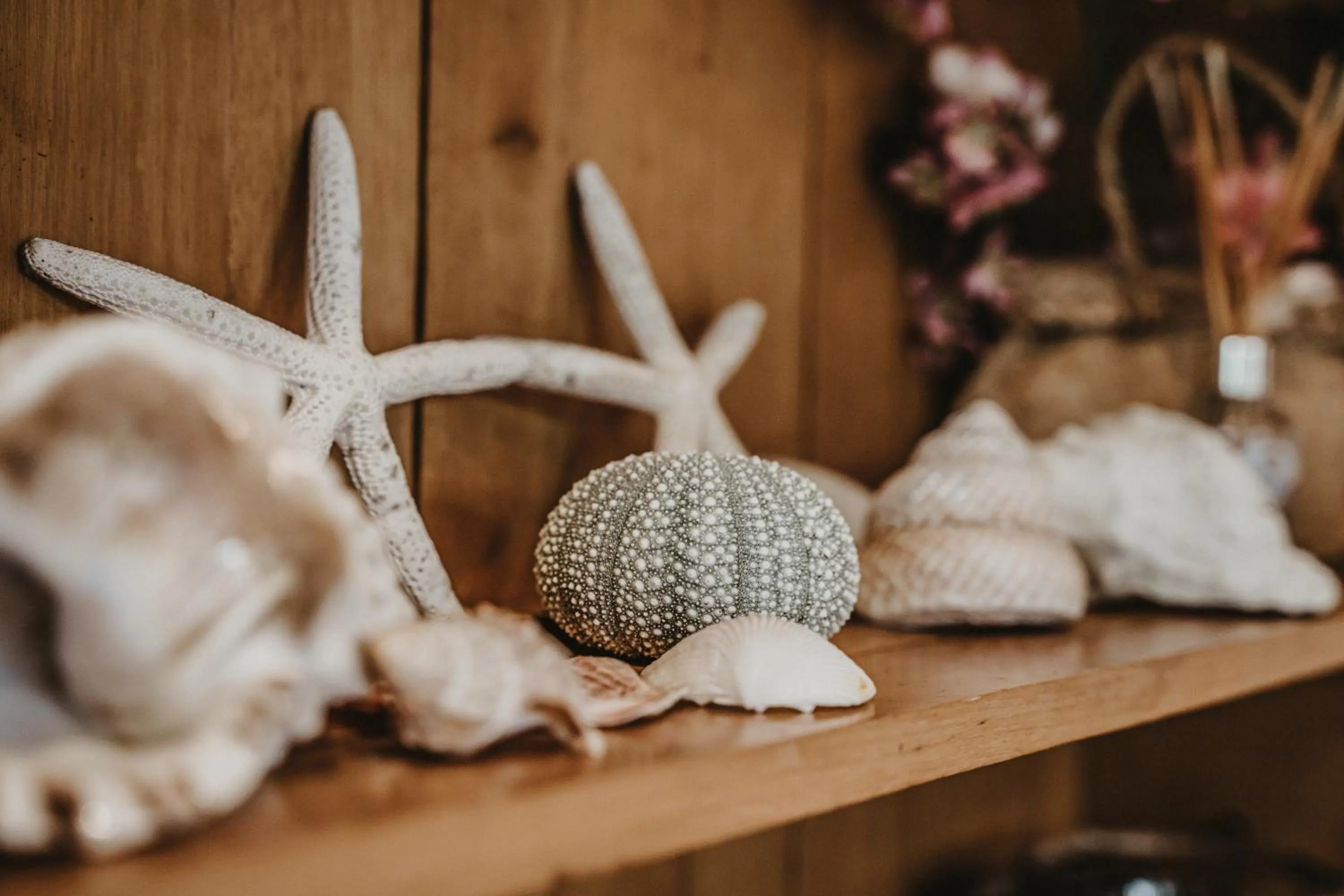 Decorative detail in Tatahi Cove Back Packer